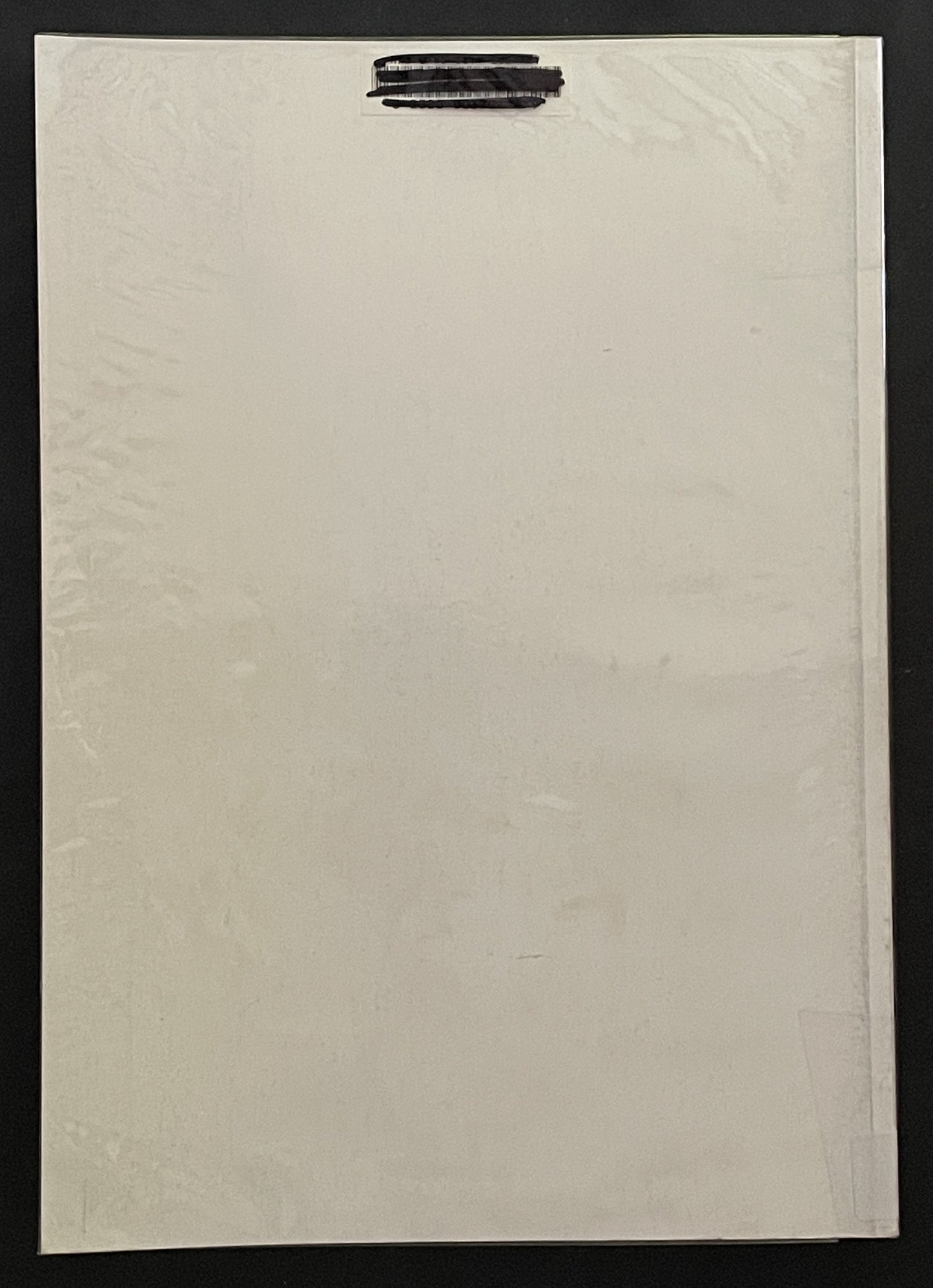 Town Parks of New South Wales by Warwick Mayne-Wilson