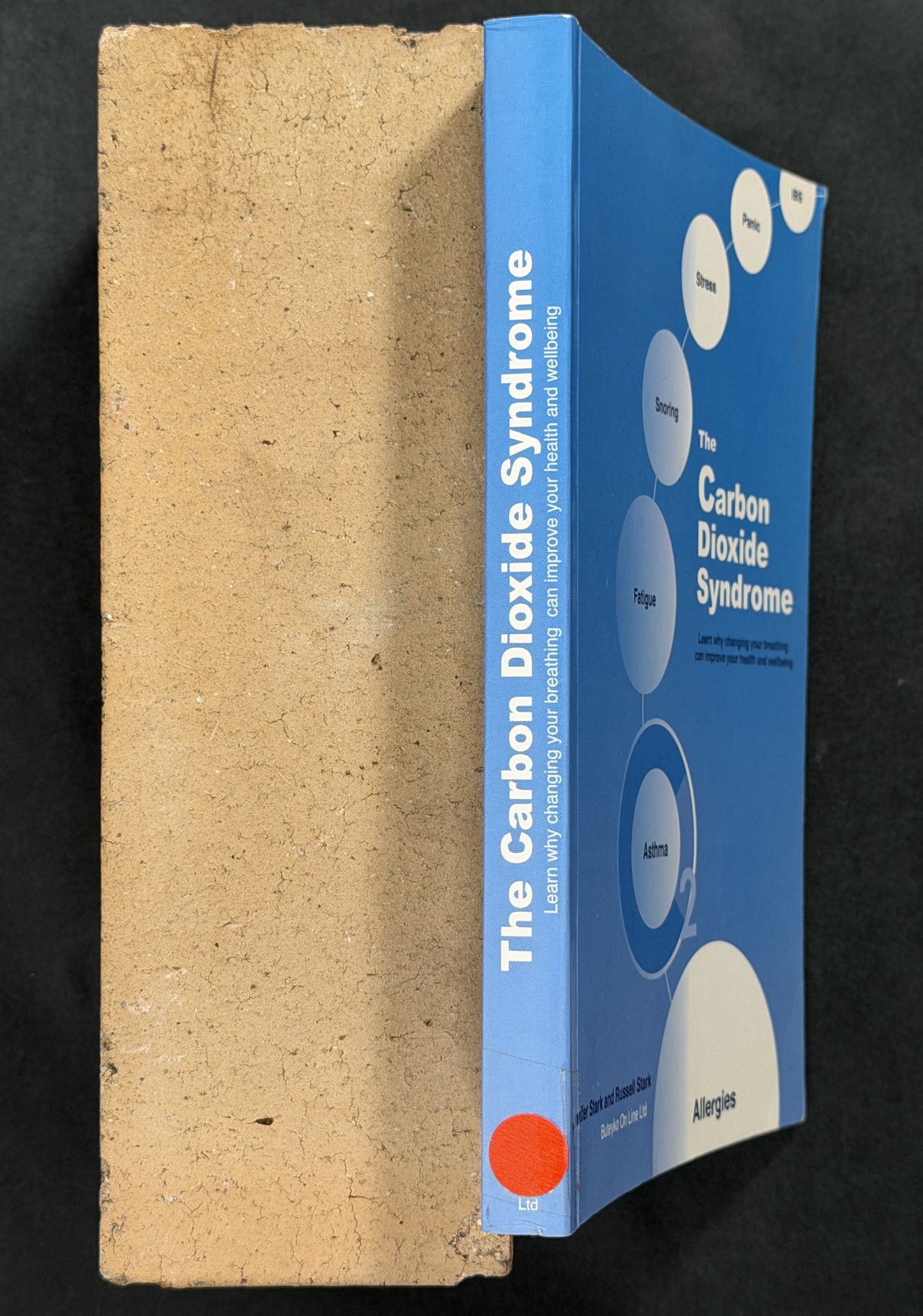 The Carbon Dioxide Syndrome by Jennifer Stark, Russell Stark