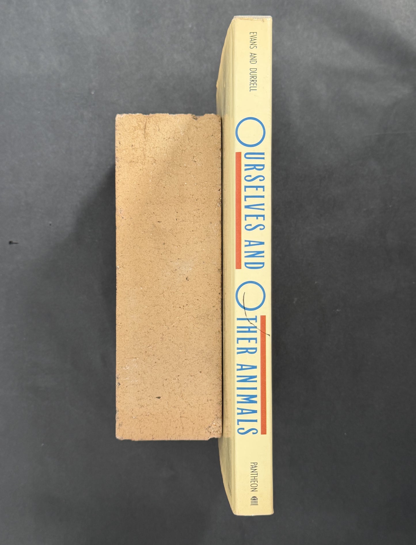 Ourselves and Other Animals by Gerald and Lee Durrell and Peter Evans