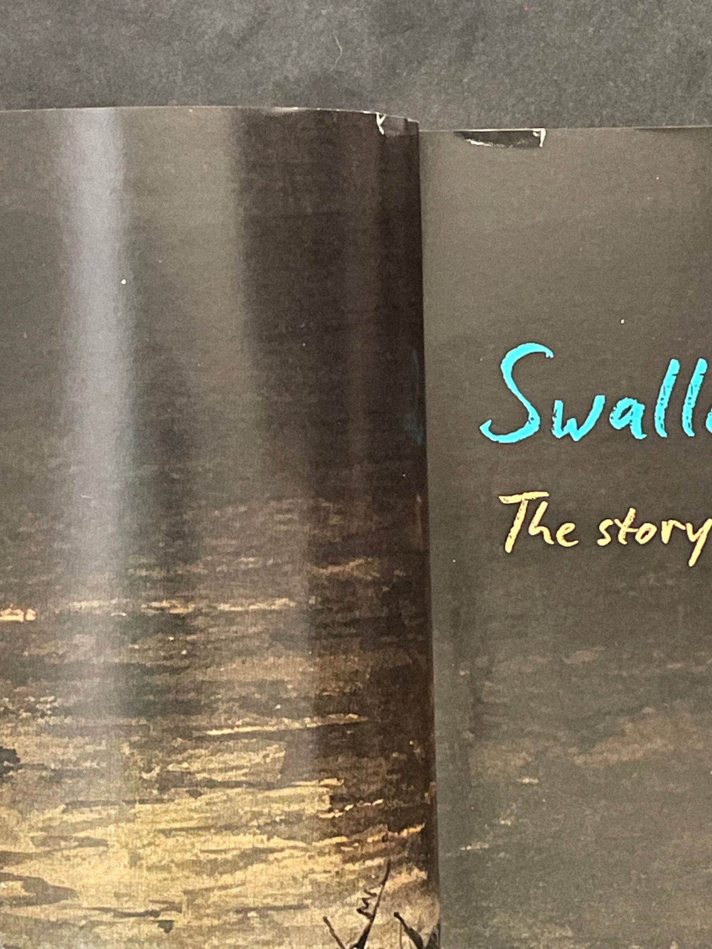 Swallowed by the Sea by Graeme Henderson