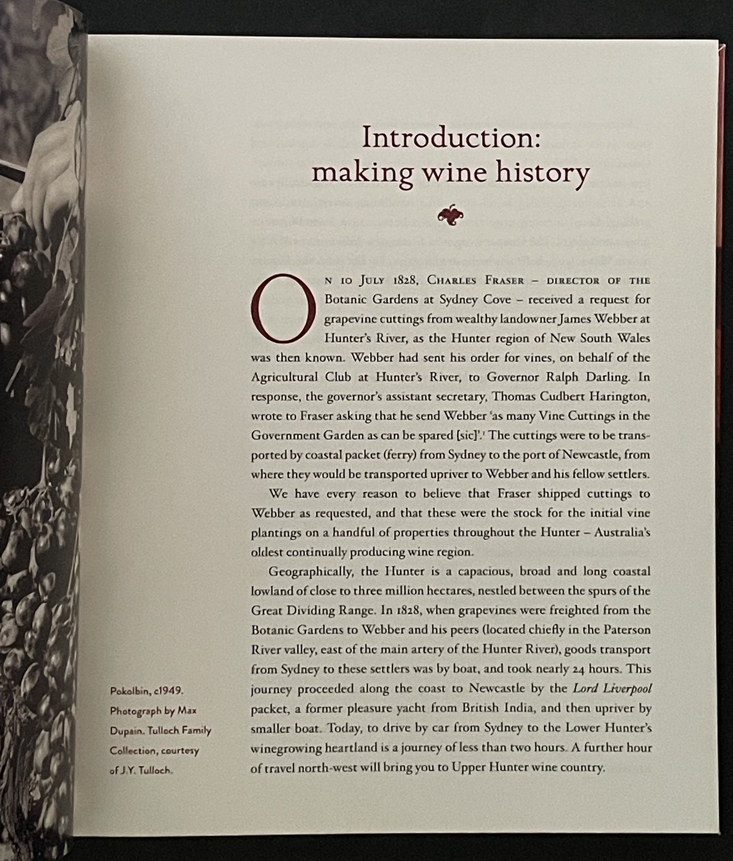 Hunter Wine by Julie McIntyre, John Germov