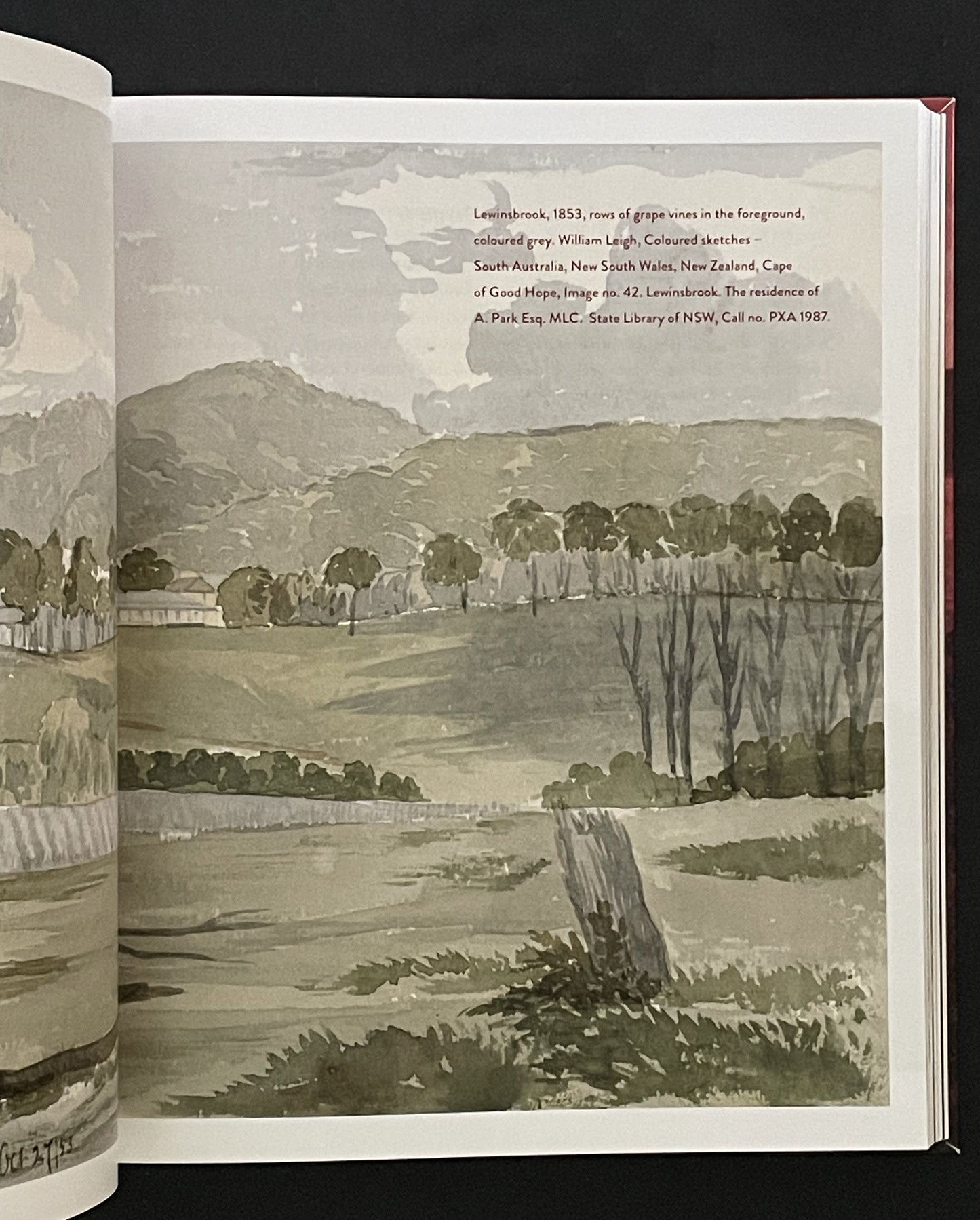 Hunter Wine by Julie McIntyre, John Germov