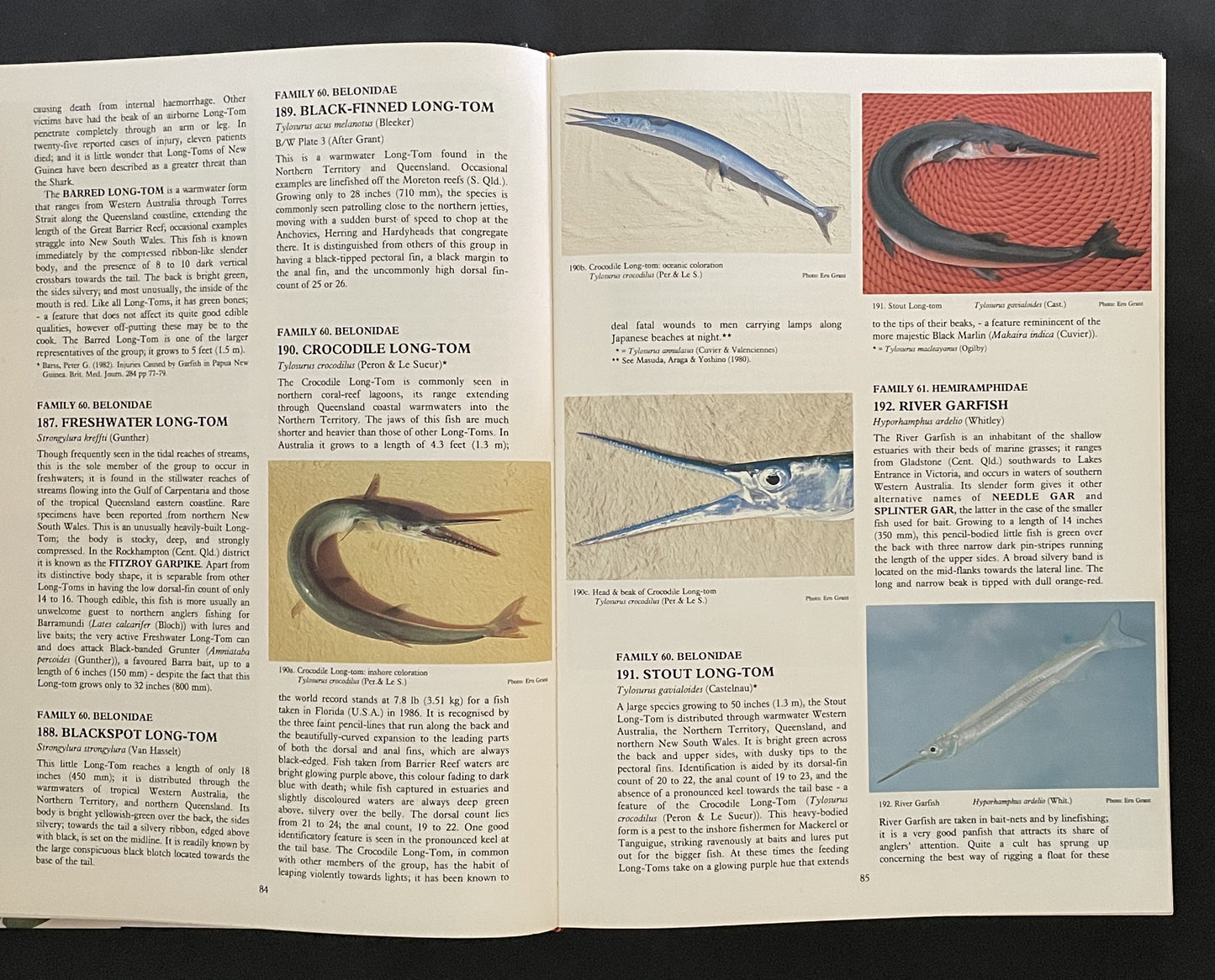 Fishes of Australia by E. M. Grant