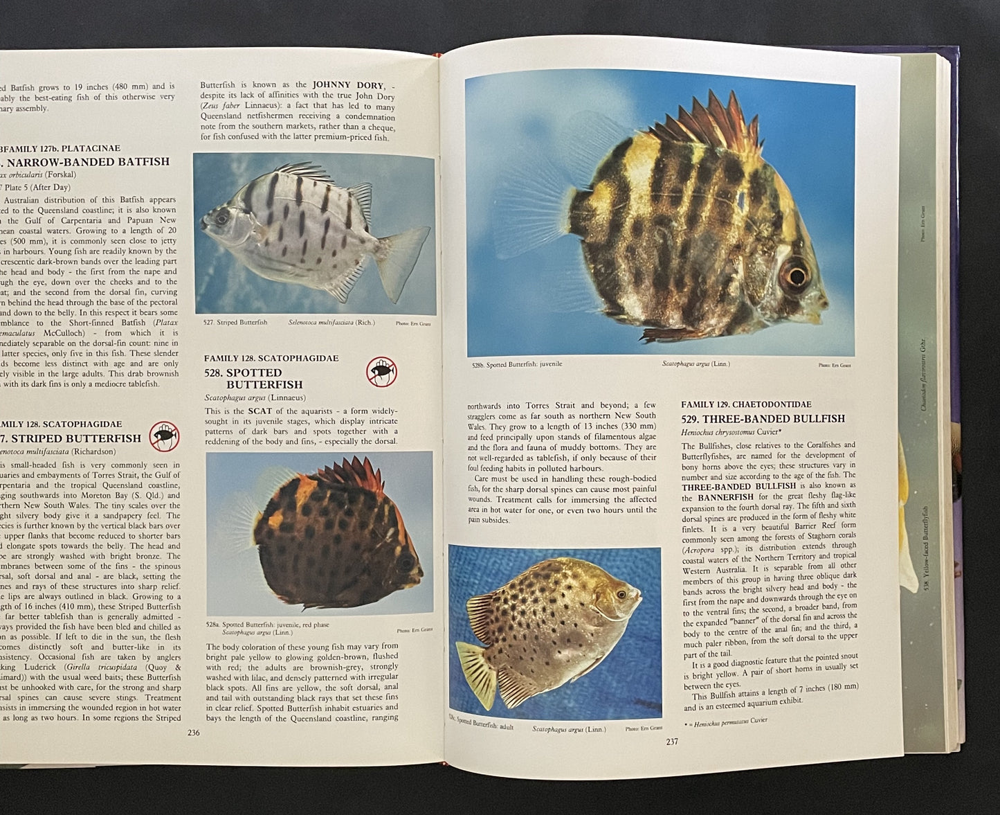 Fishes of Australia by E. M. Grant