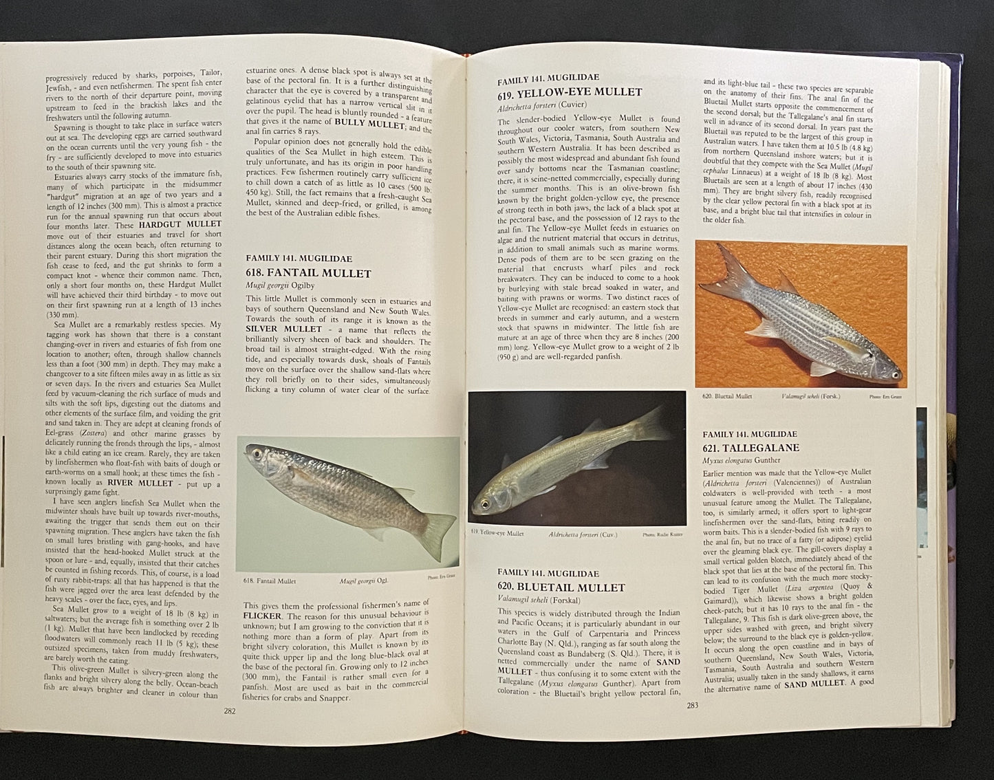 Fishes of Australia by E. M. Grant