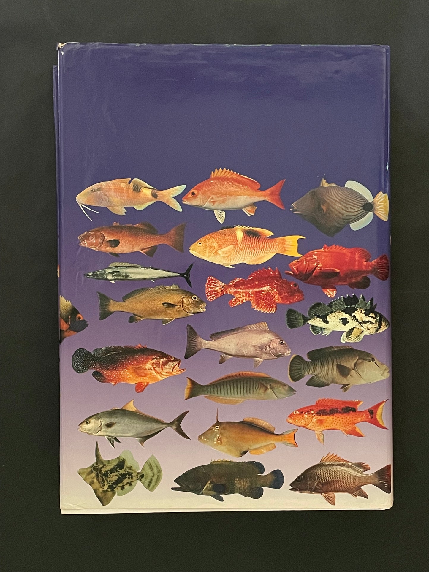 Fishes of Australia by E. M. Grant