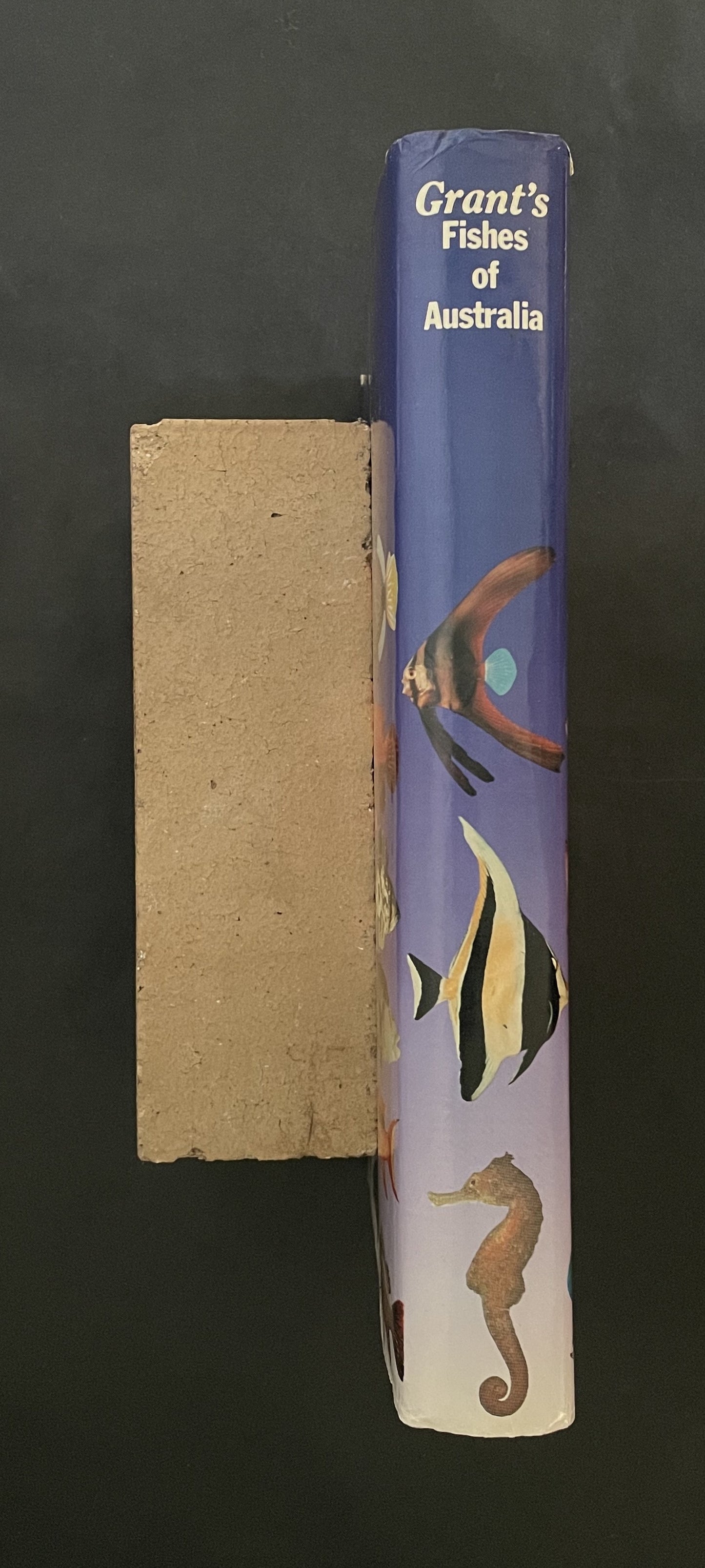 Fishes of Australia by E. M. Grant