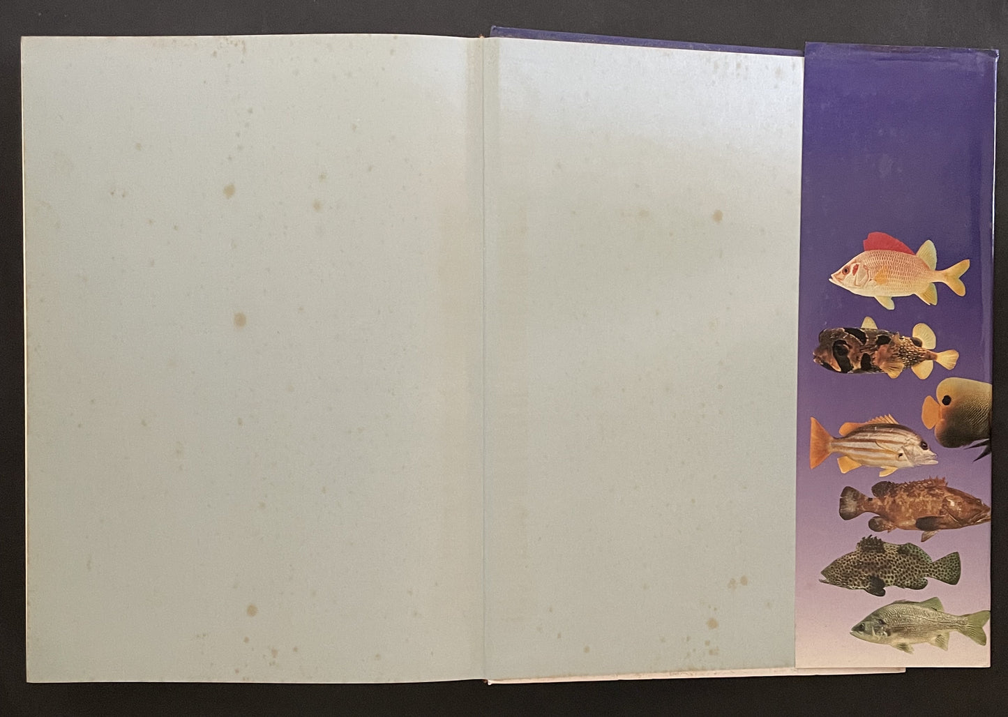 Fishes of Australia by E. M. Grant