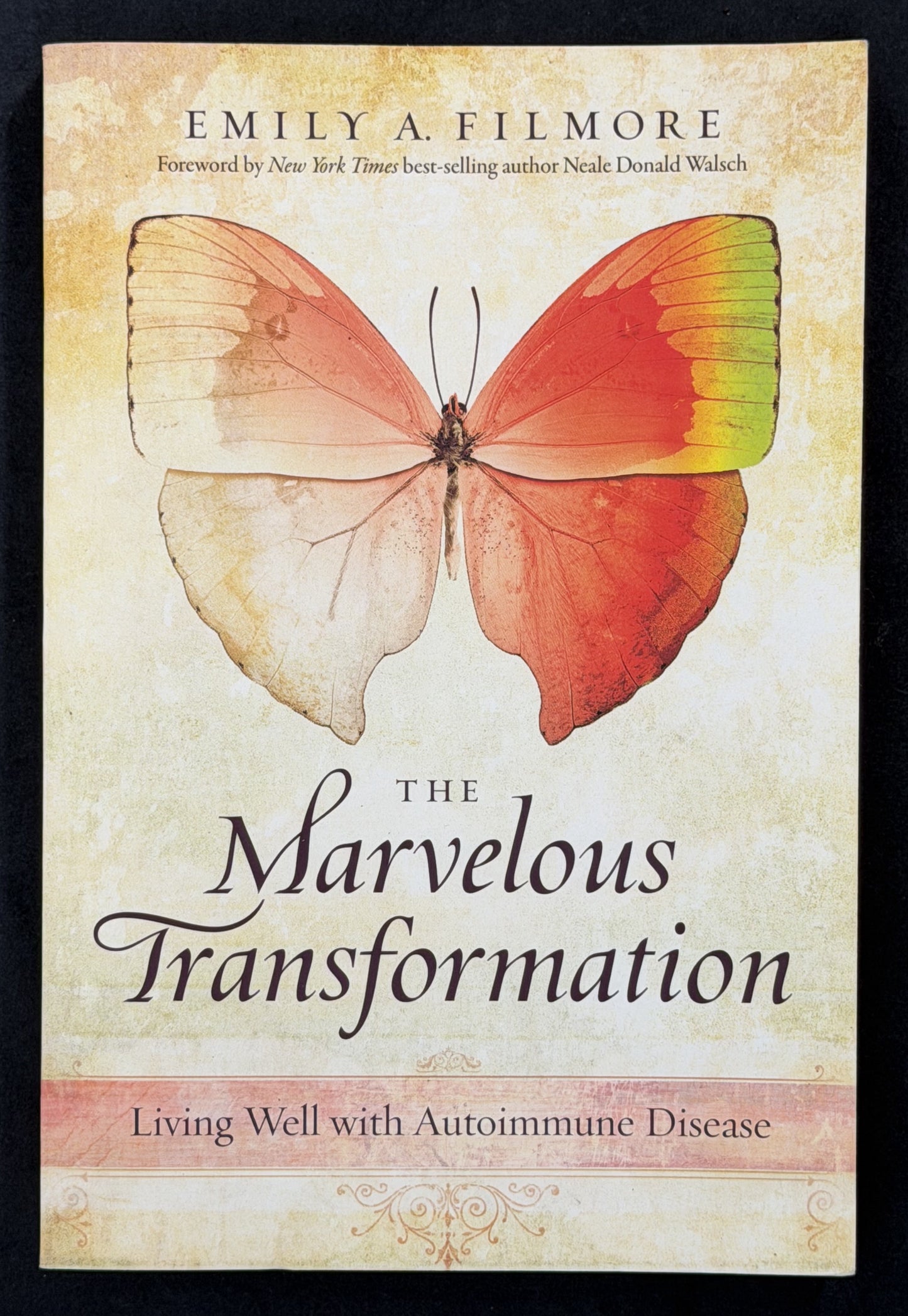 The Marvelous Transformation by Emily Filmore