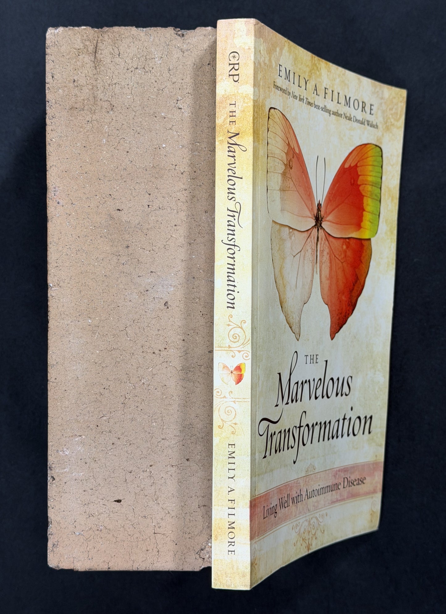 The Marvelous Transformation by Emily Filmore