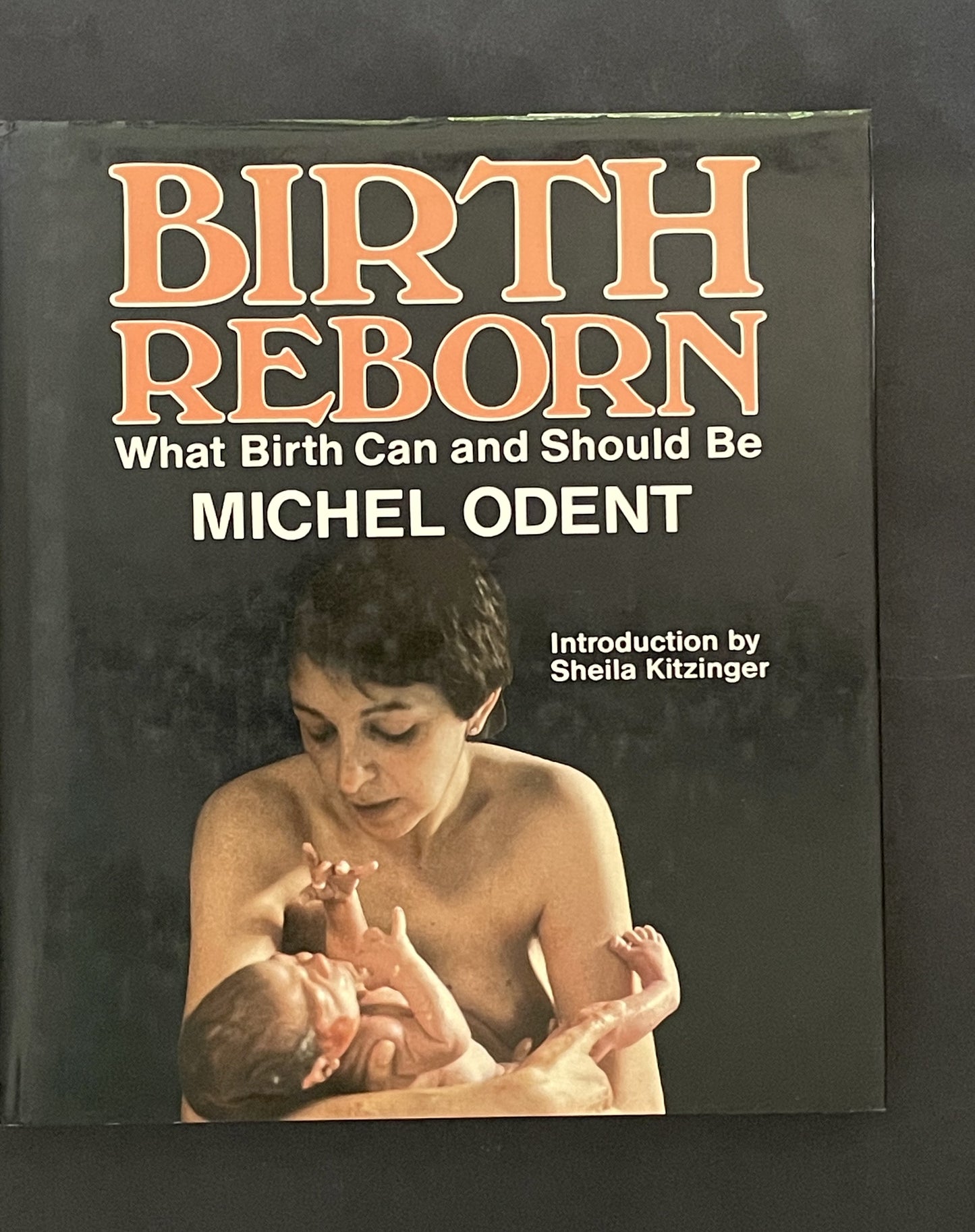 Birth Reborn by Michel Odent