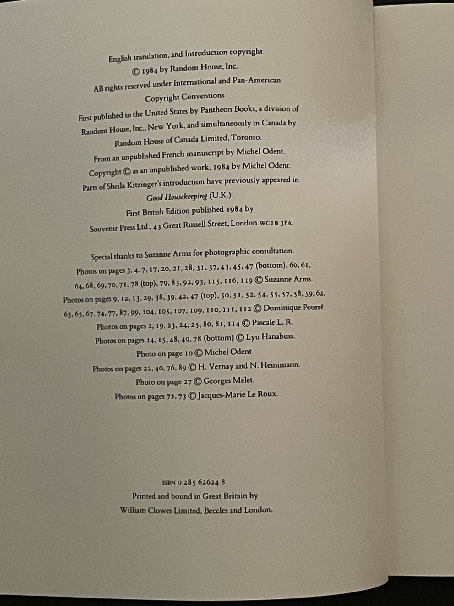 Birth Reborn by Michel Odent