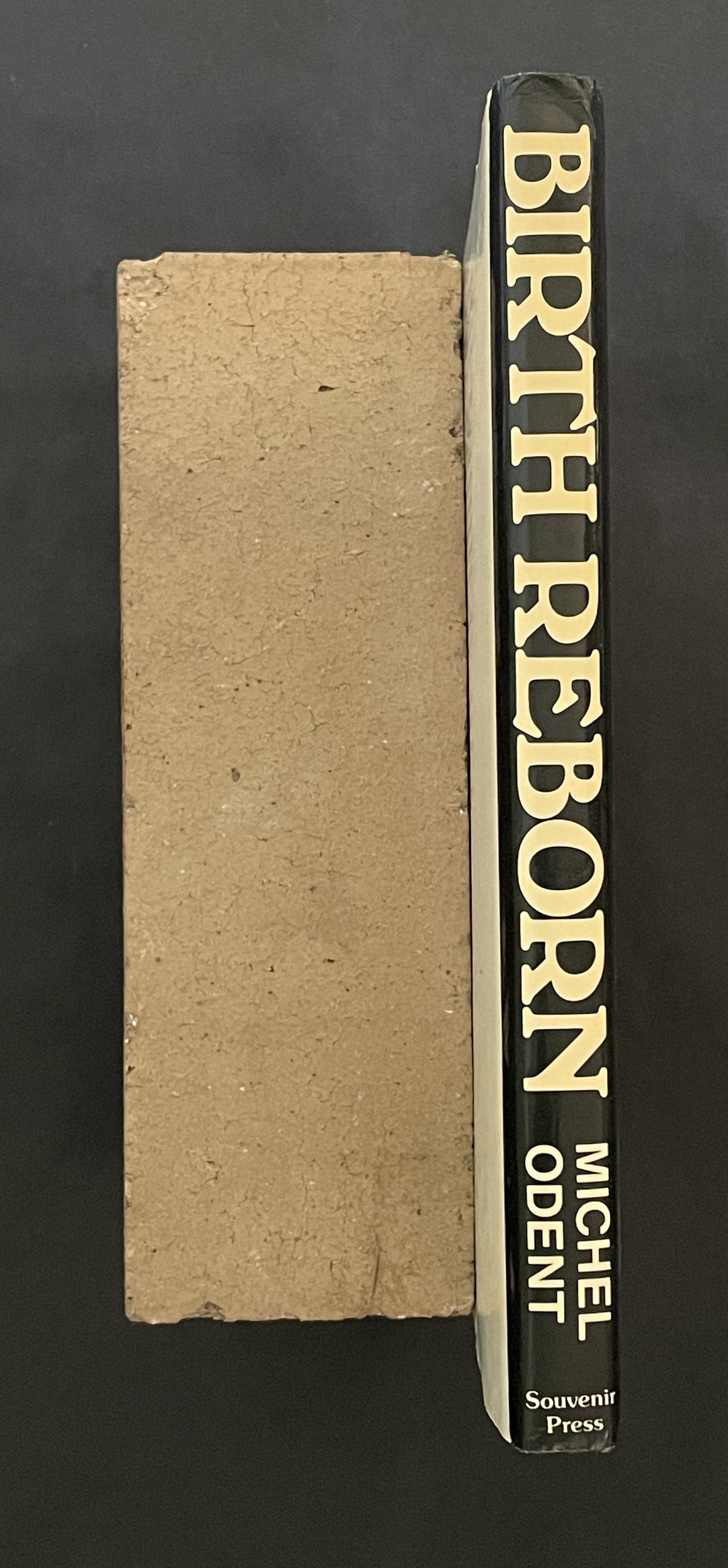 Birth Reborn by Michel Odent