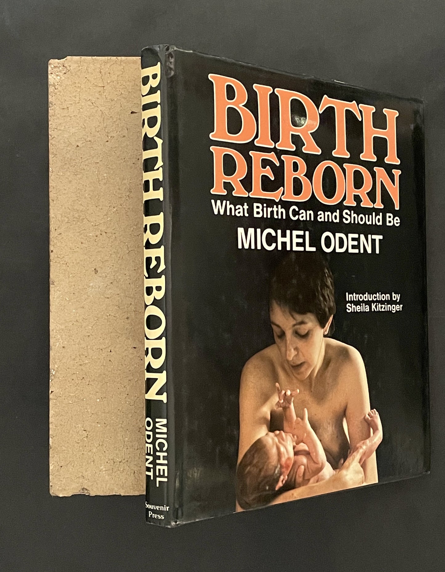 Birth Reborn by Michel Odent