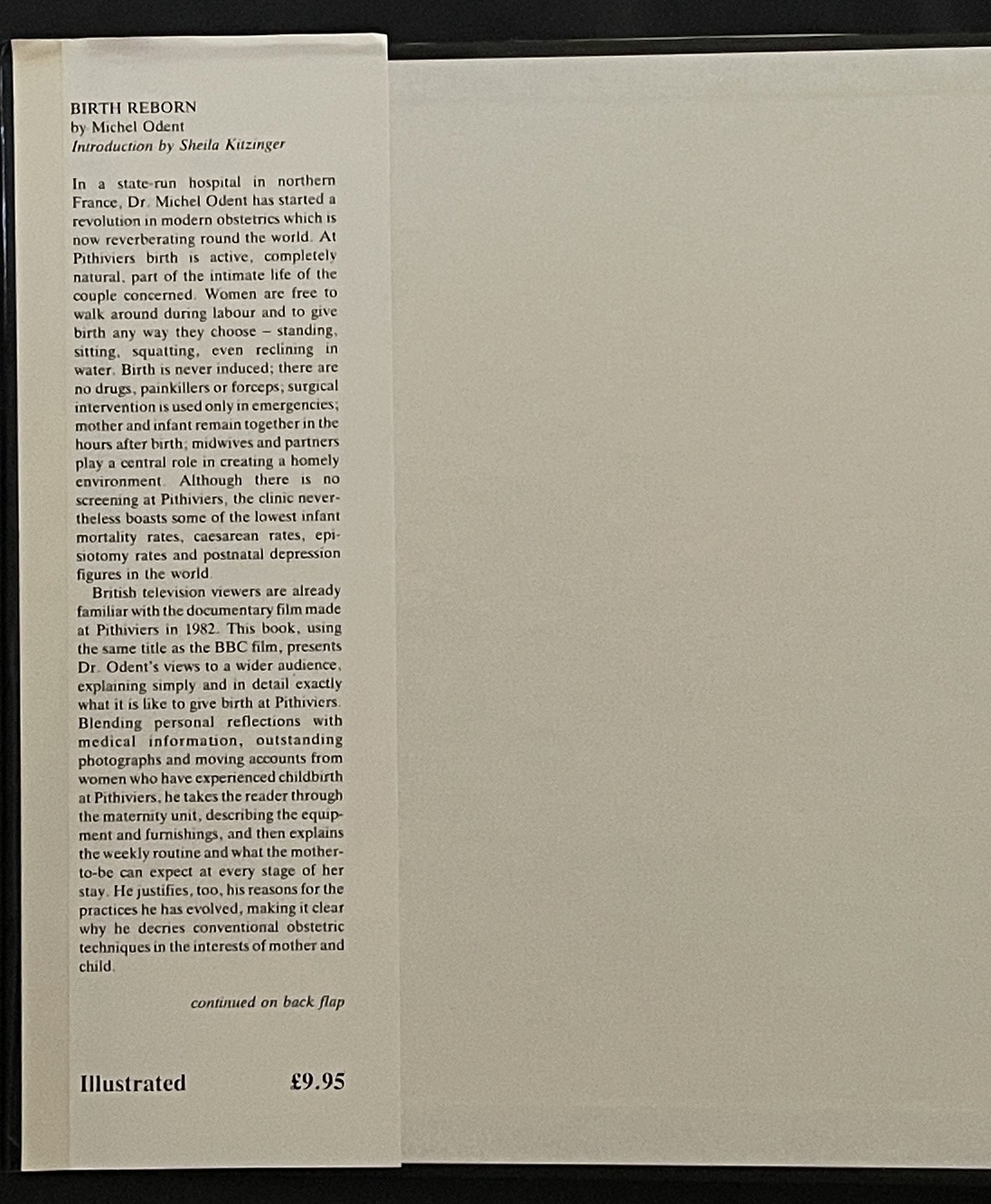 Birth Reborn by Michel Odent