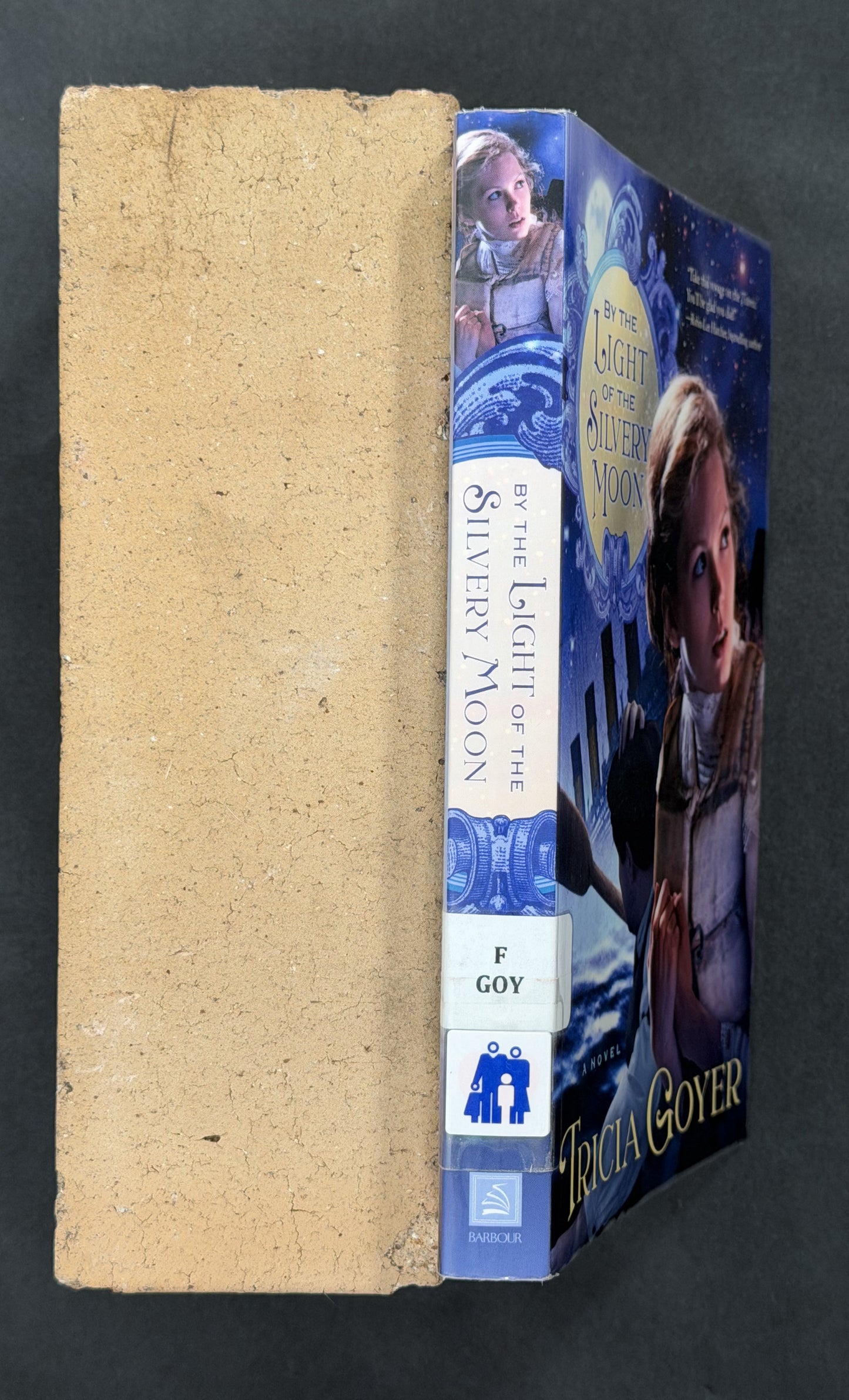 By the Light of the Silvery Moon by Tricia Goyer