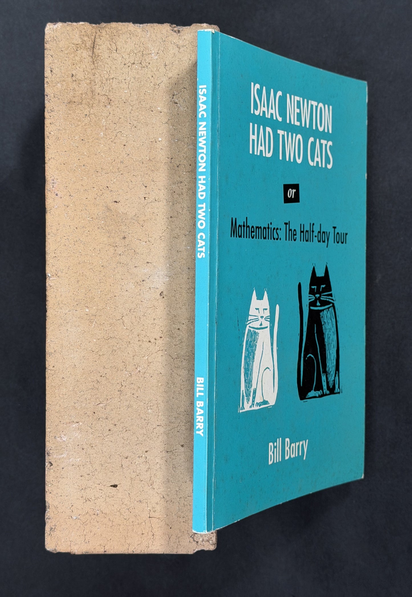 Isaac Newton Had Two Cats, Or, Mathematics by Bill Barry