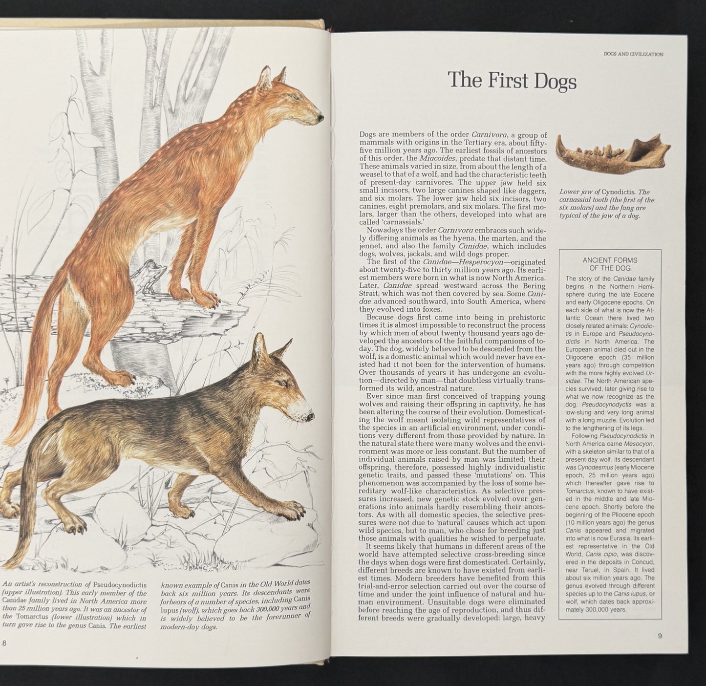 The Reader's Digest Illustrated Book of Dogs by Patricia Sylvester et al.