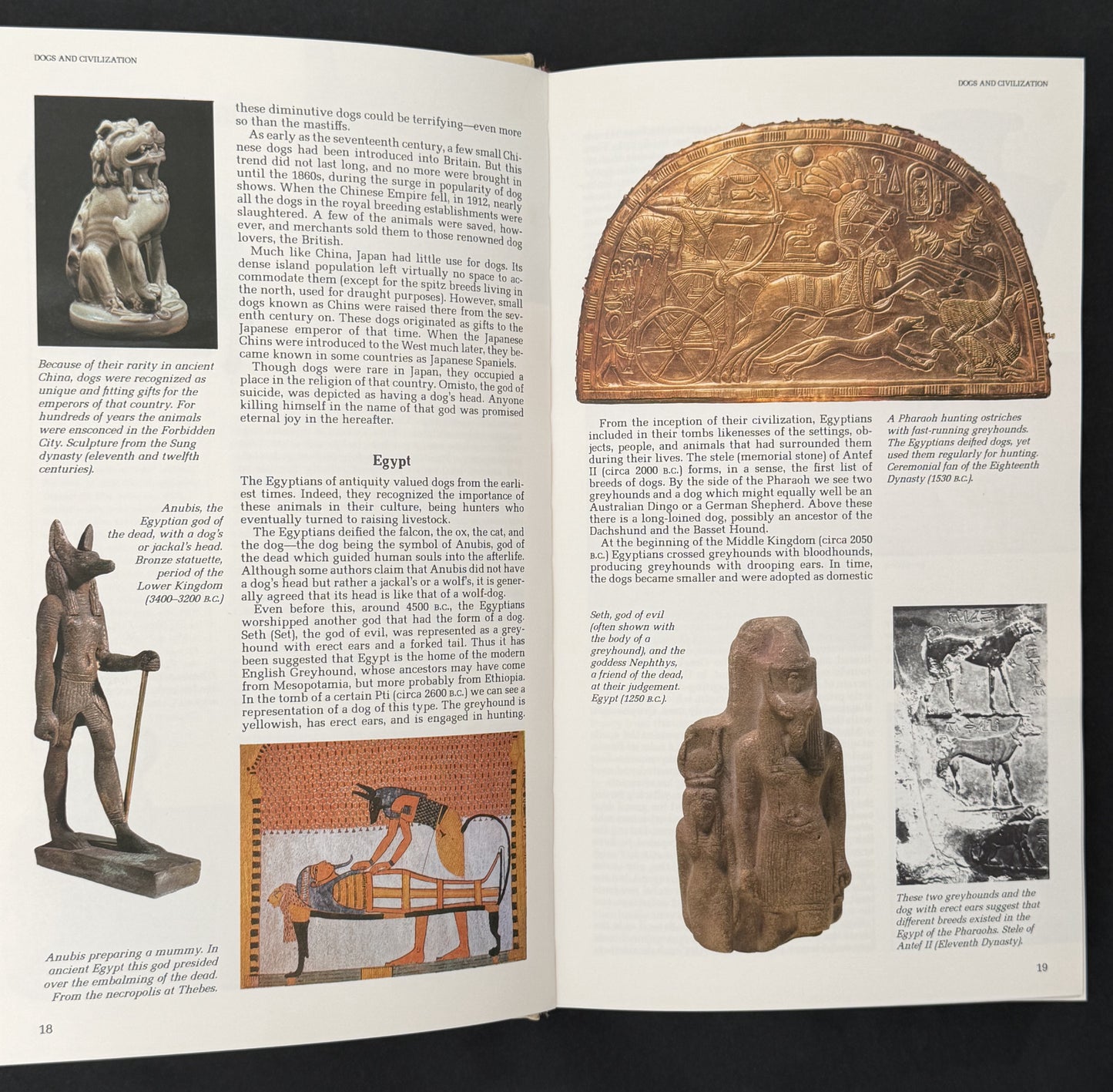 The Reader's Digest Illustrated Book of Dogs by Patricia Sylvester et al.