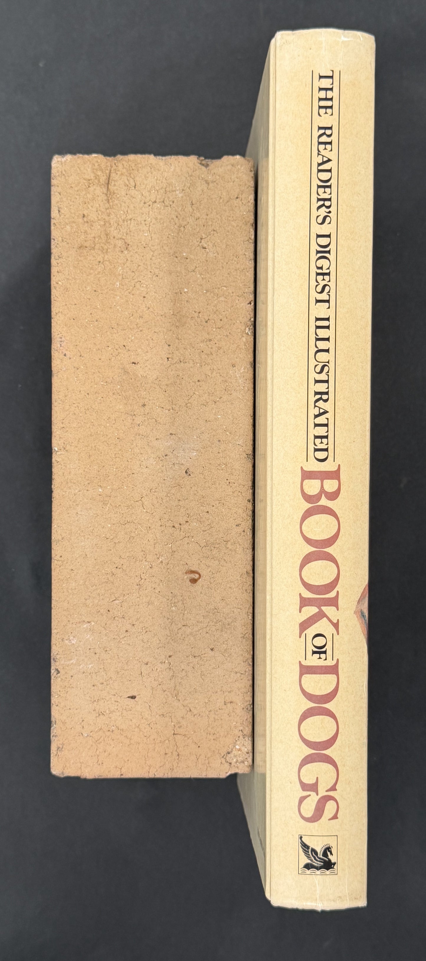The Reader's Digest Illustrated Book of Dogs by Patricia Sylvester et al.
