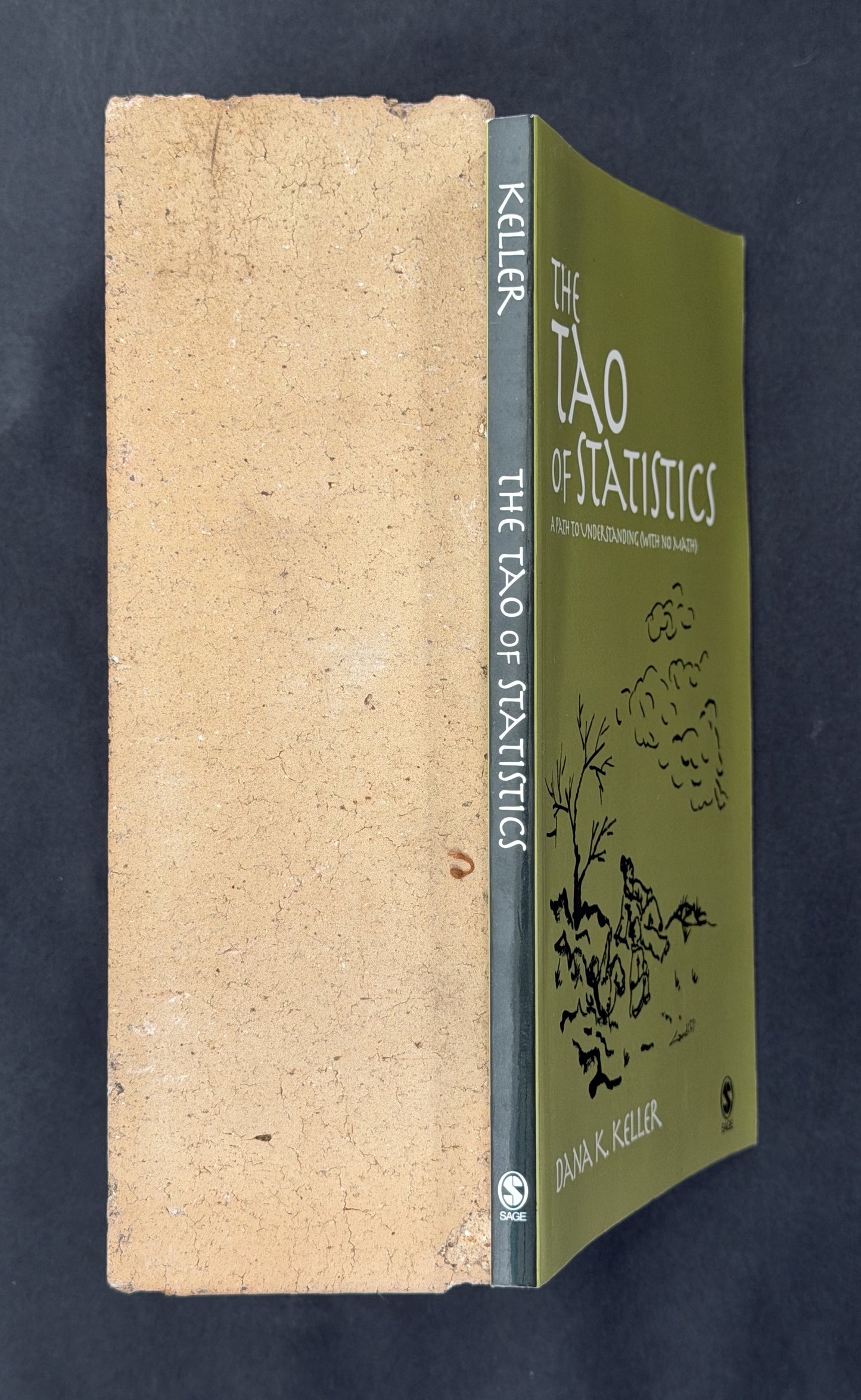 The Tao of Statistics by Dana K. Keller