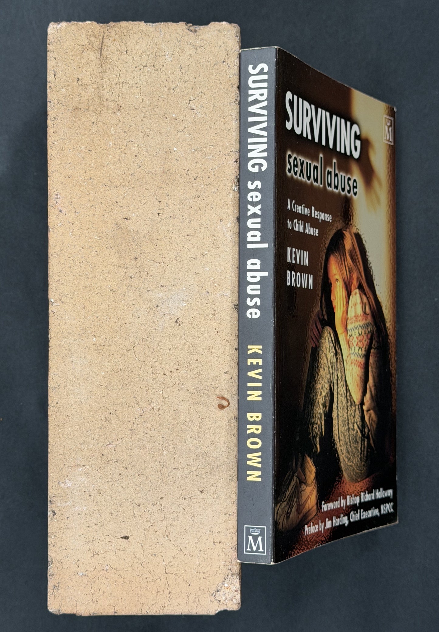 Surviving Sexual Abuse by Kevin Brown