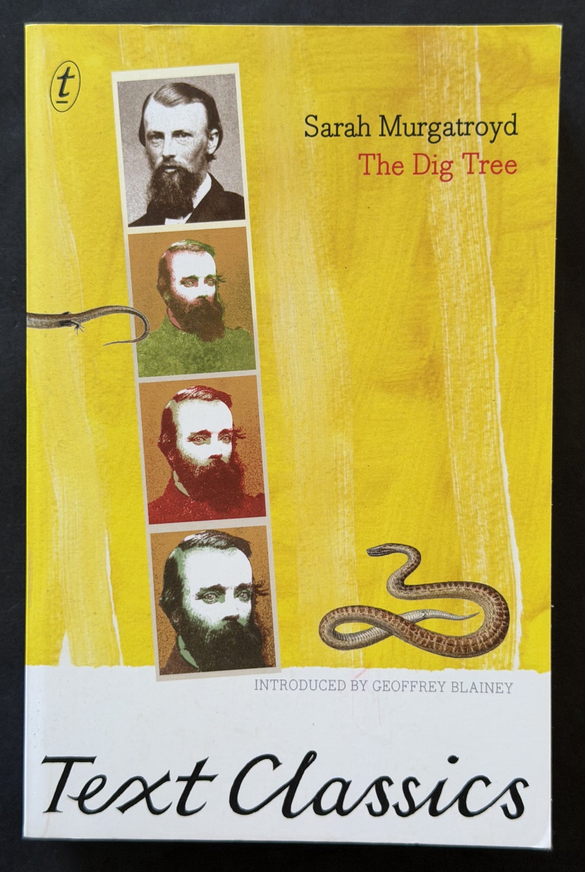 Dig Tree by Sarah Murgatroyd