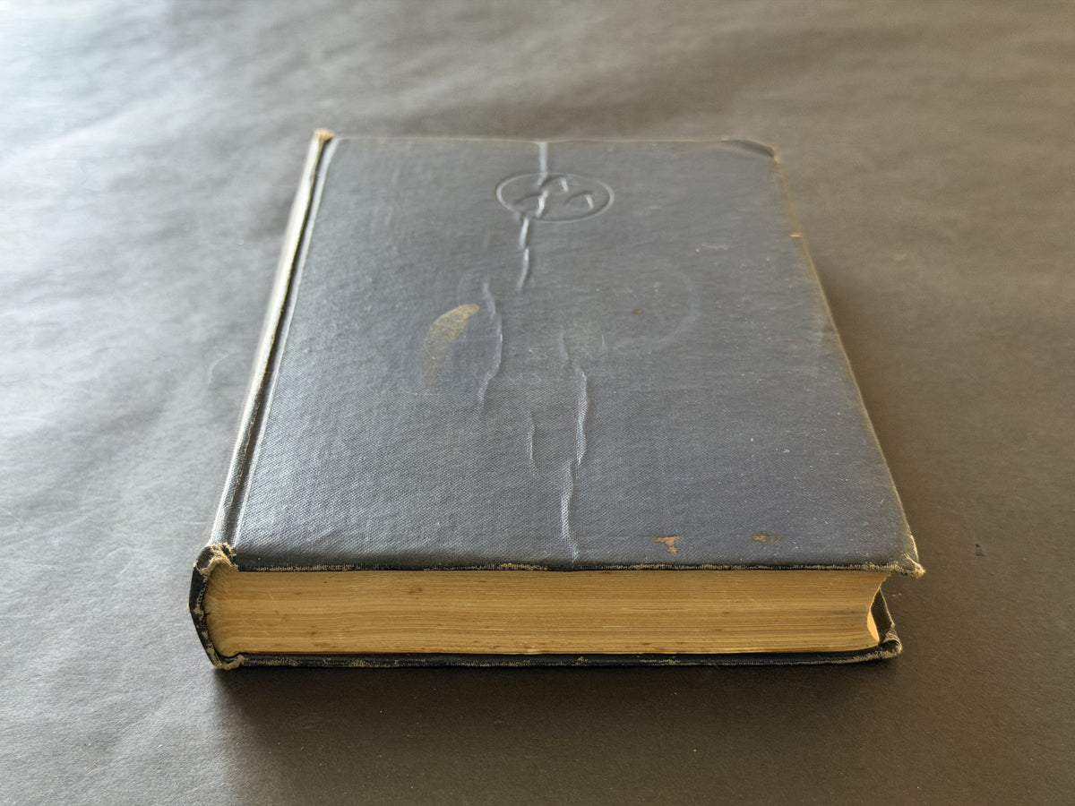 The Island by Francis Brett Young