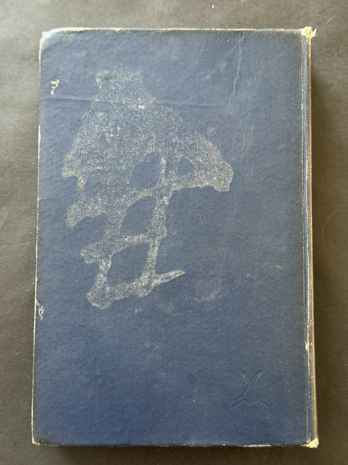 The Island by Francis Brett Young