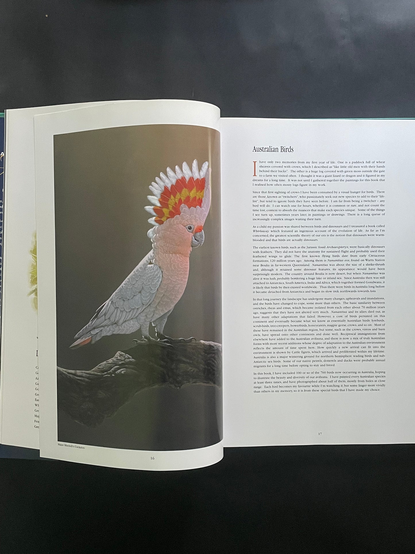 Australian Birds by Peter Slater
