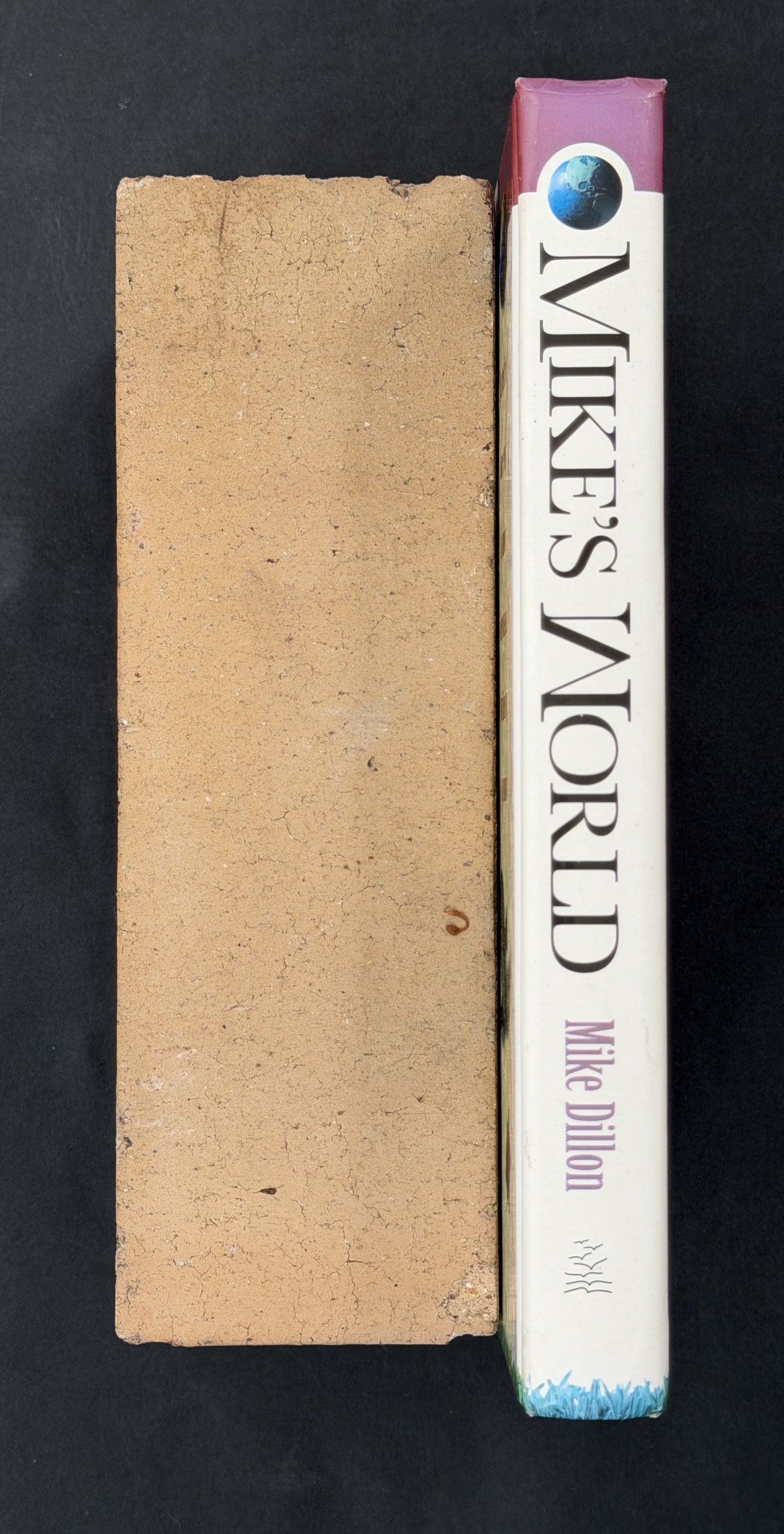 Mike's World by Mike Dillon