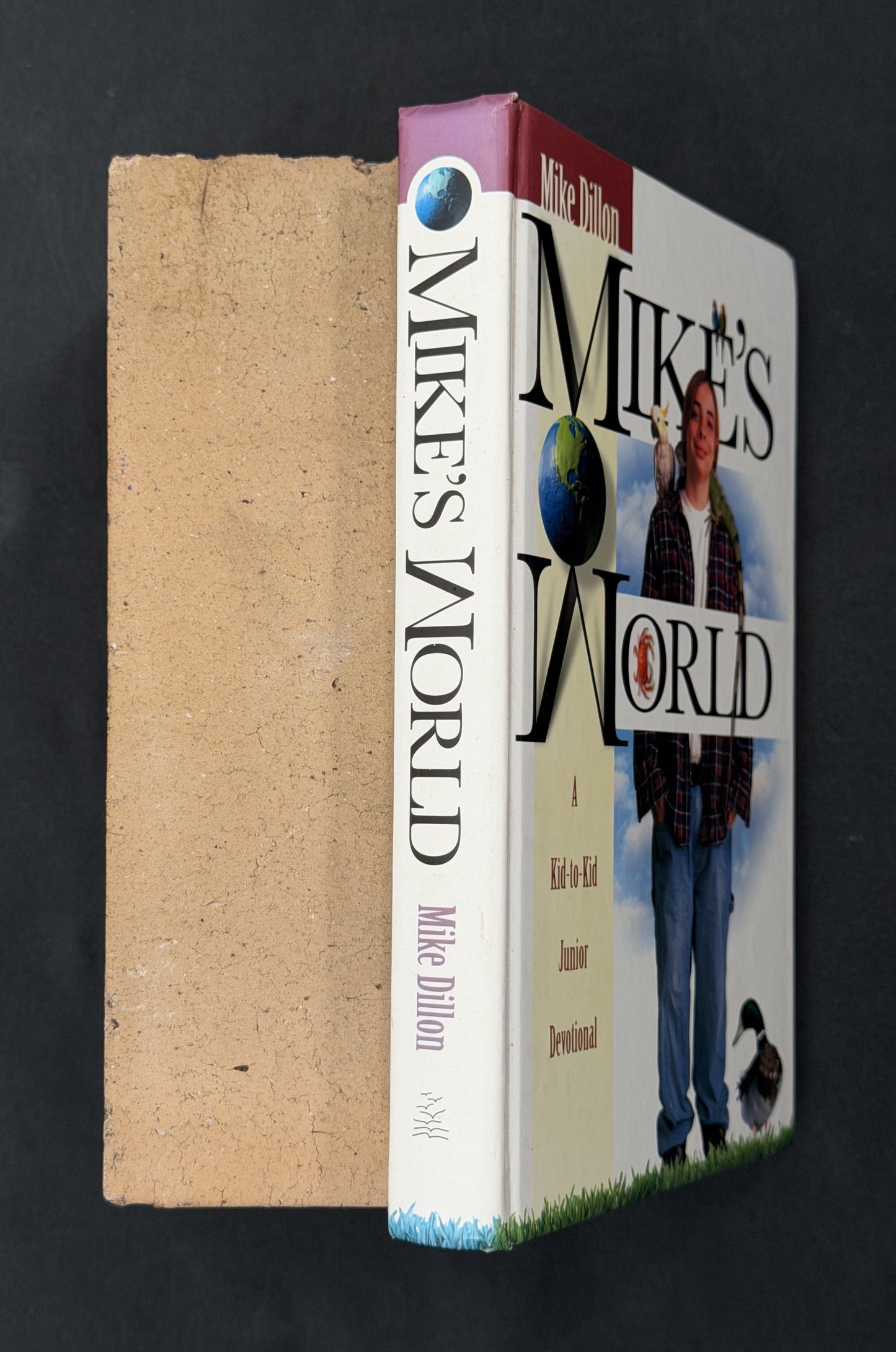Mike's World by Mike Dillon