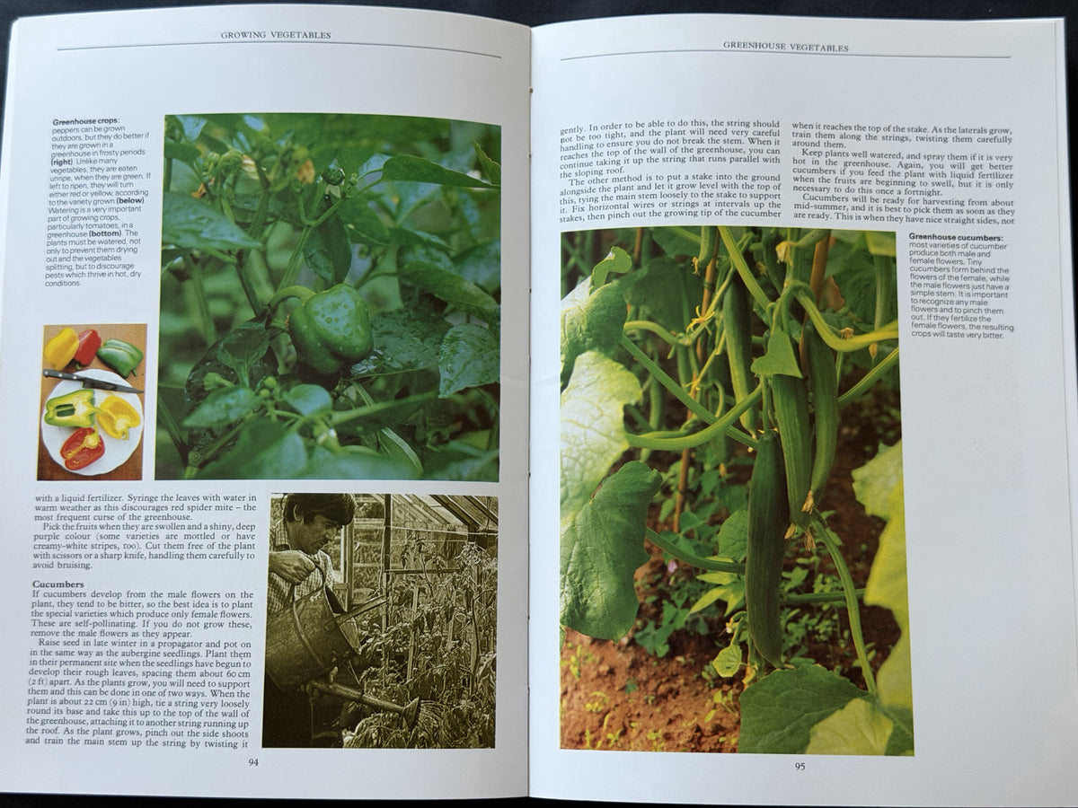 Australia & New Zealand Complete Self-sufficiency Handbook by Sally Gordon