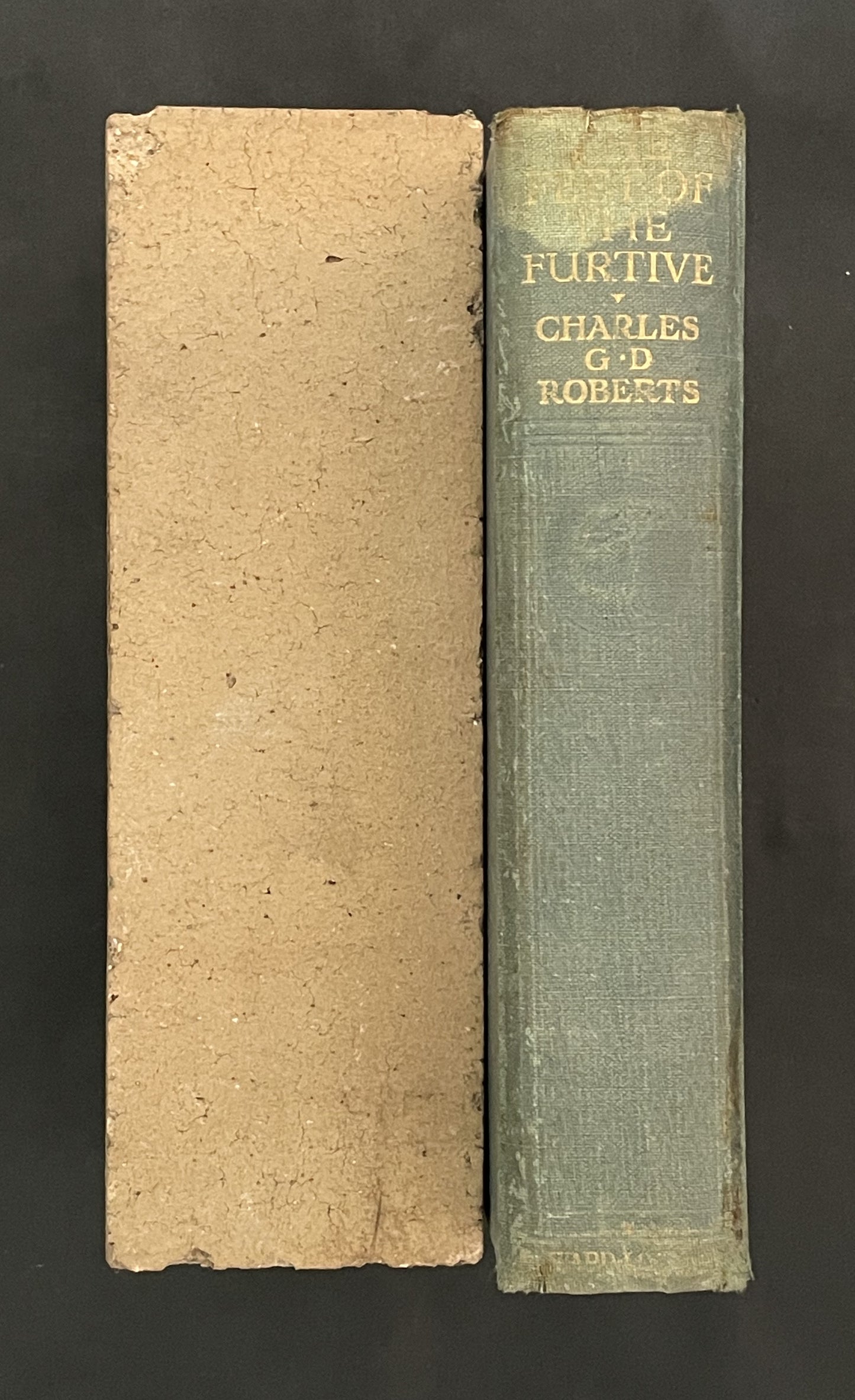 The Feet of the Furtive by Charles G. D. Roberts