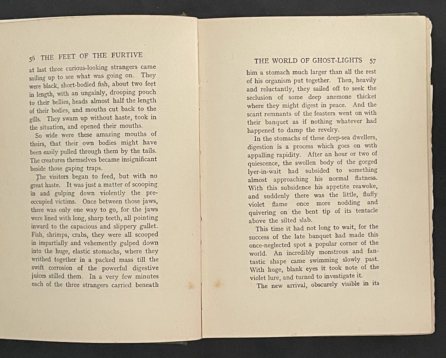 The Feet of the Furtive by Charles G. D. Roberts