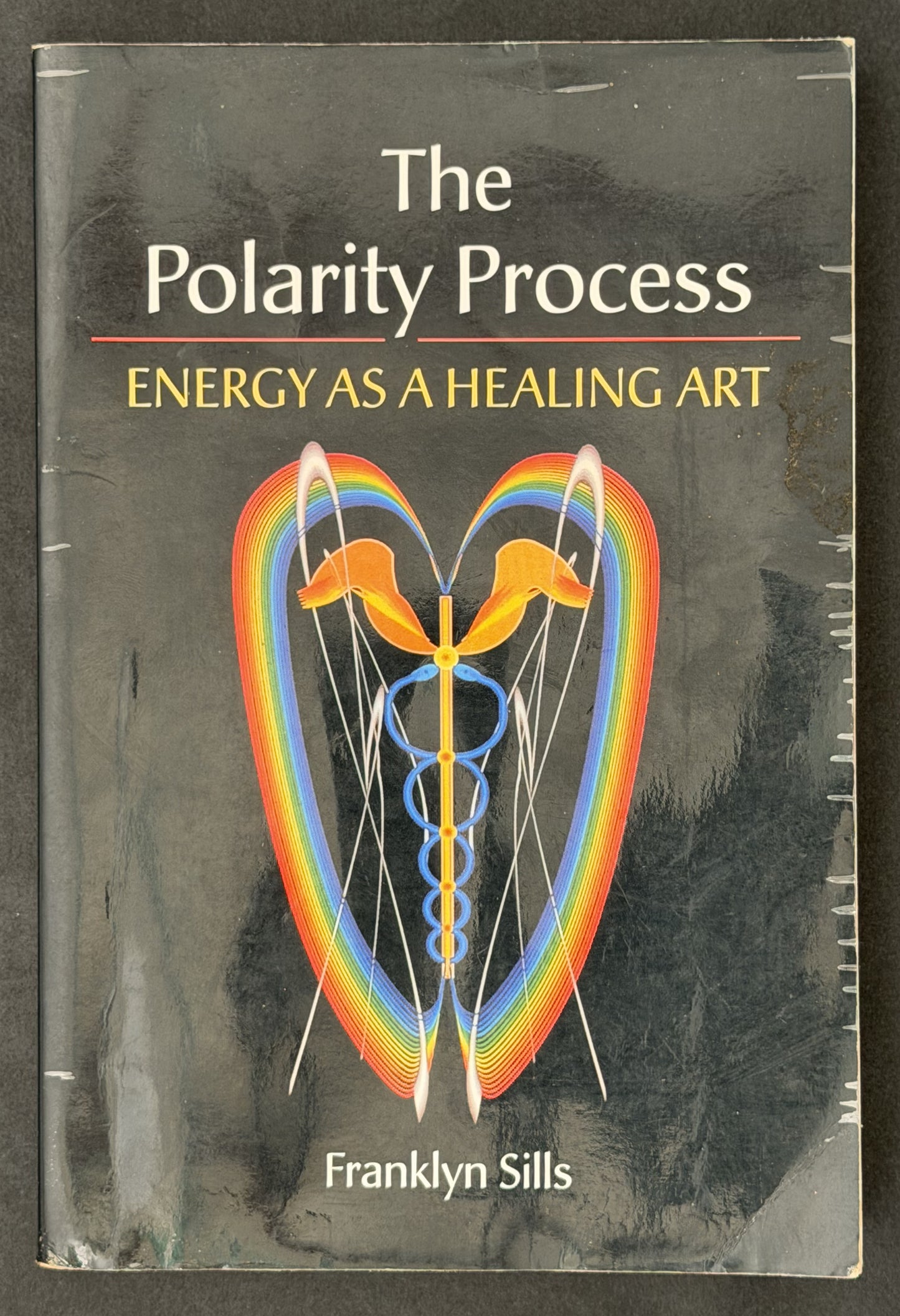 The Polarity Process by Franklyn Sills