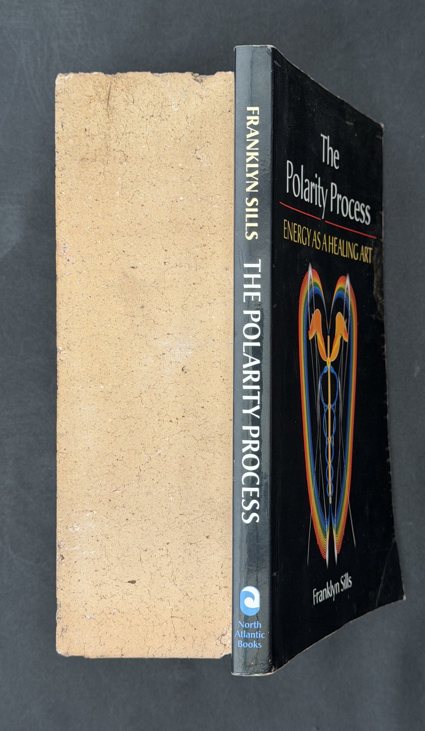 The Polarity Process by Franklyn Sills