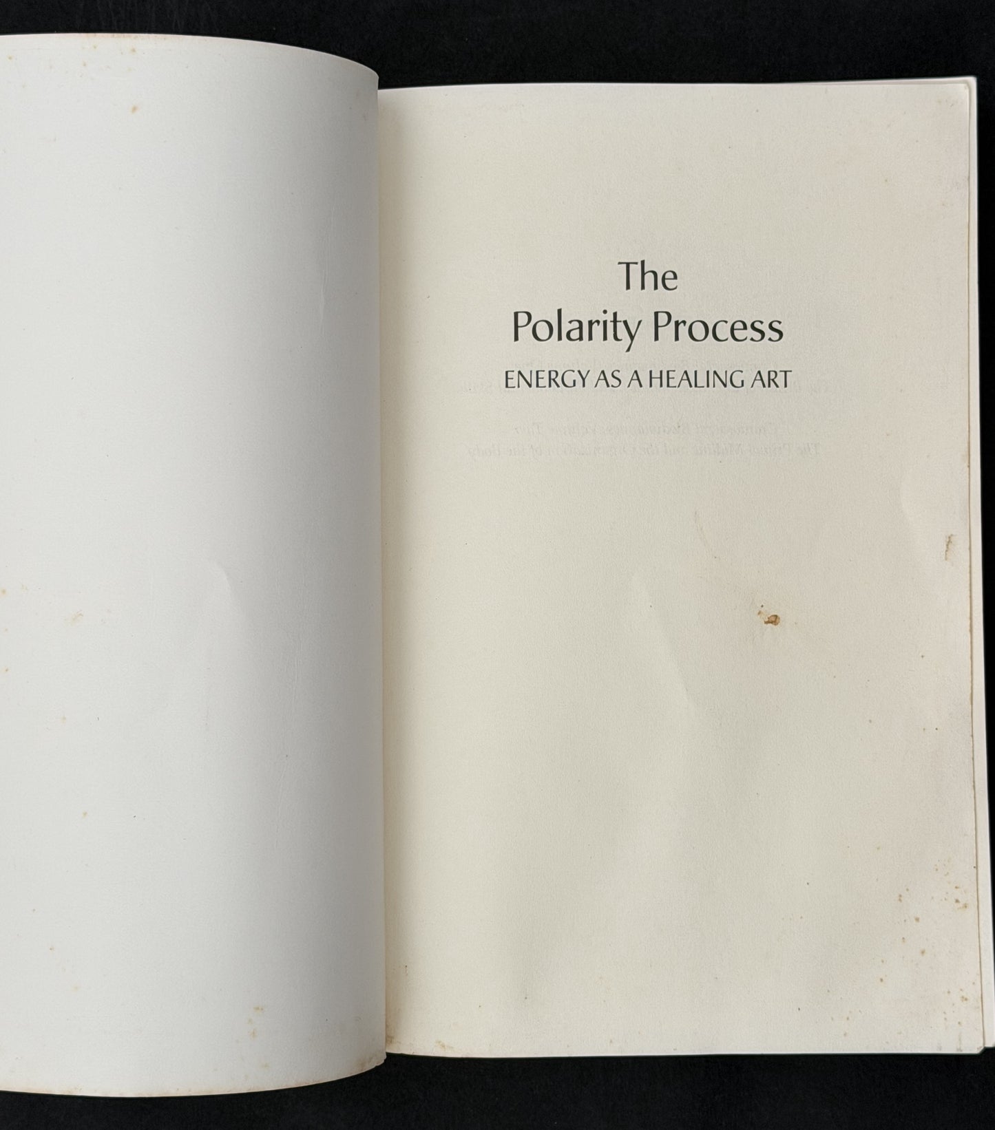 The Polarity Process by Franklyn Sills