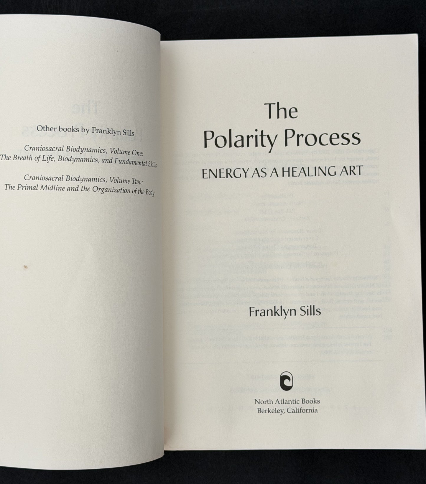 The Polarity Process by Franklyn Sills
