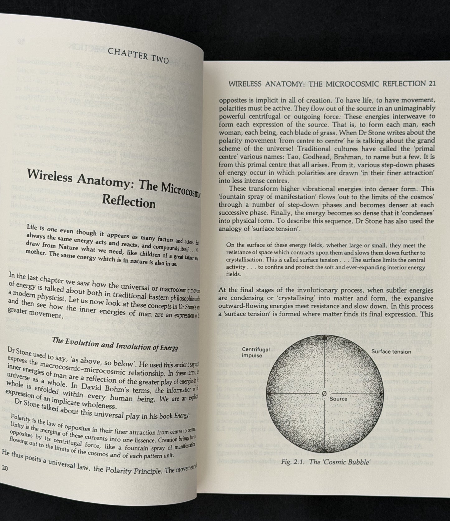 The Polarity Process by Franklyn Sills