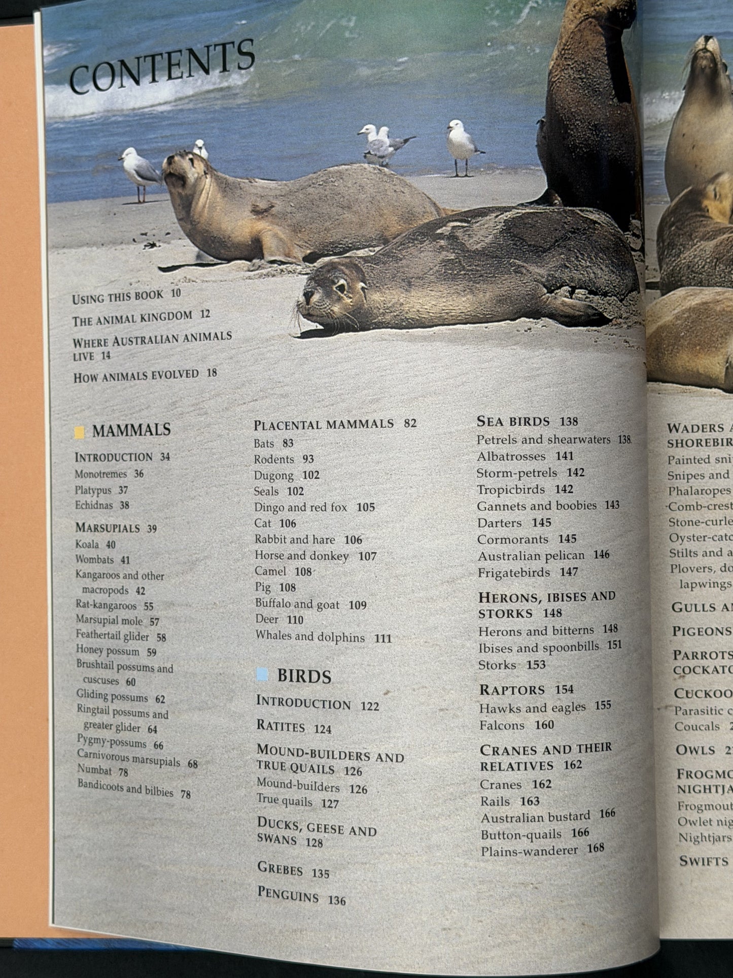Encyclopedia of Australian Wildlife by Reader's Digest