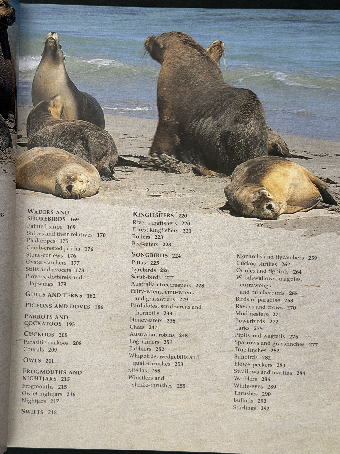 Encyclopedia of Australian Wildlife by Reader's Digest
