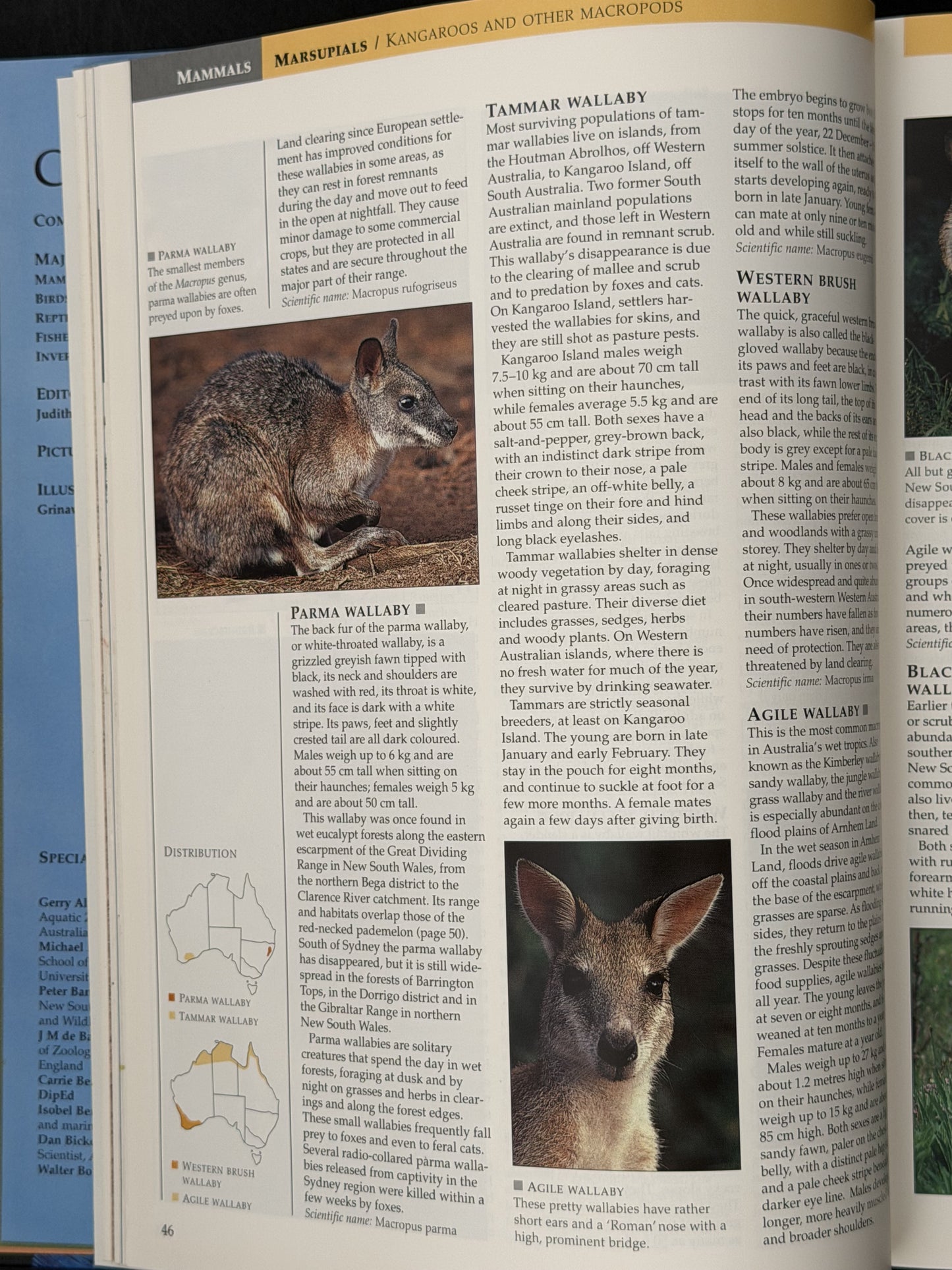 Encyclopedia of Australian Wildlife by Reader's Digest
