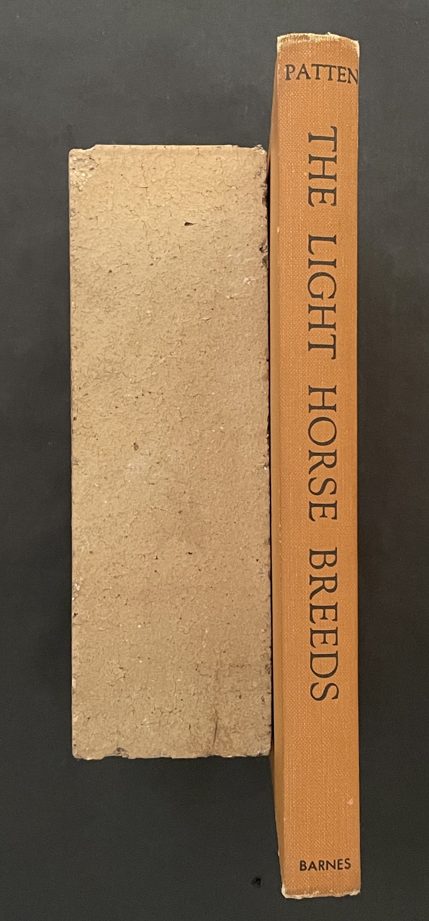 The Light Horse Breeds by John W. Patten