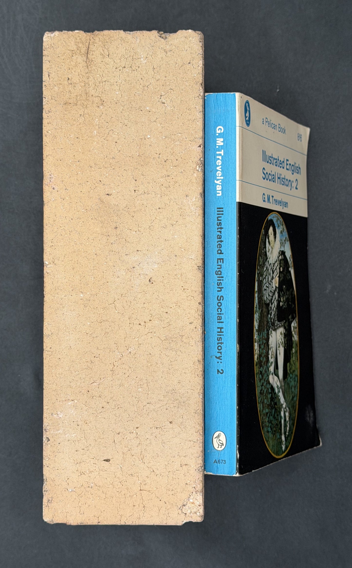 Illustrated English Social History: 2 by G. M. Trevelyan