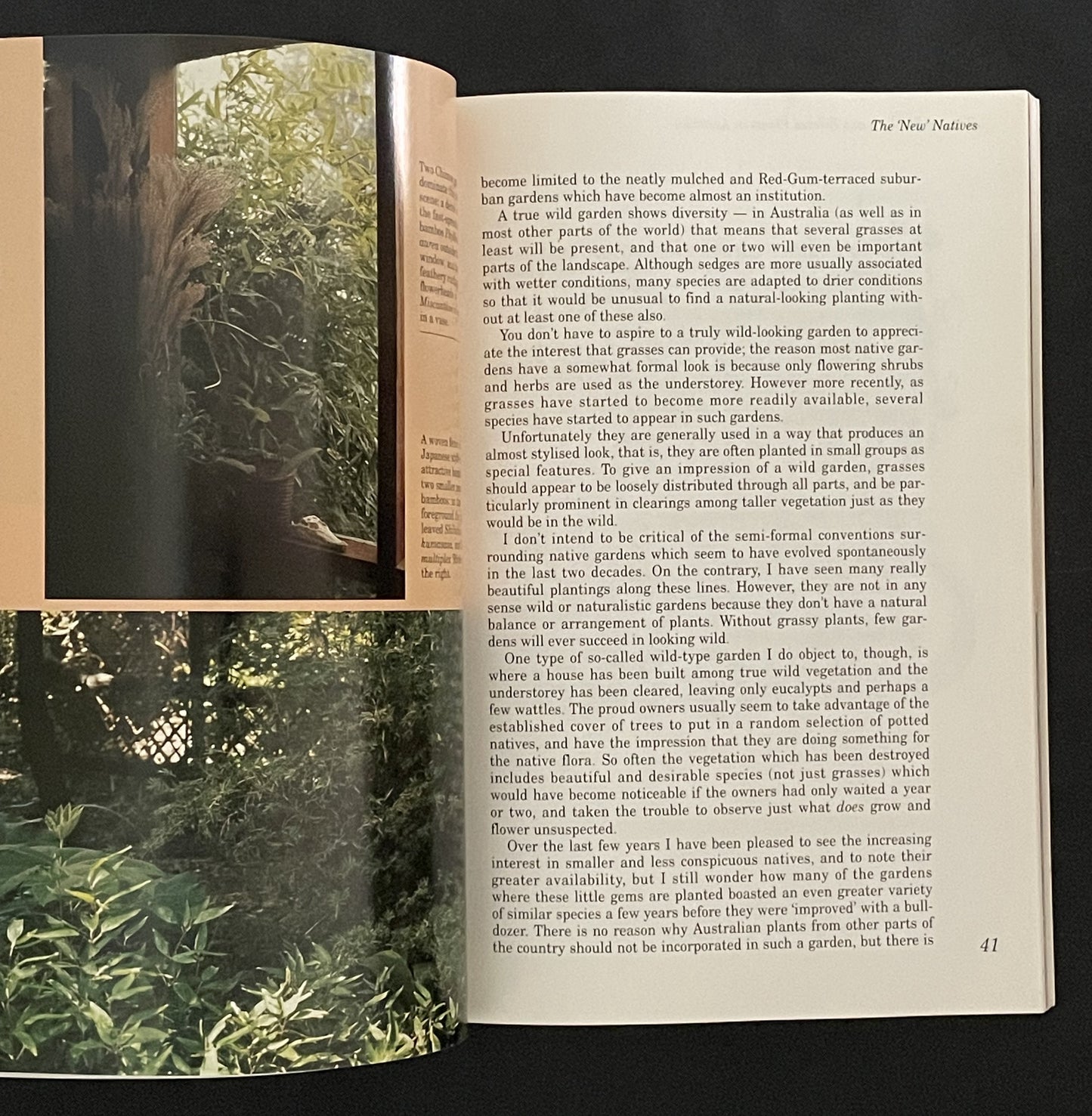 Grasses, Bamboos and Related Plants in Australia by Nick Romanowski