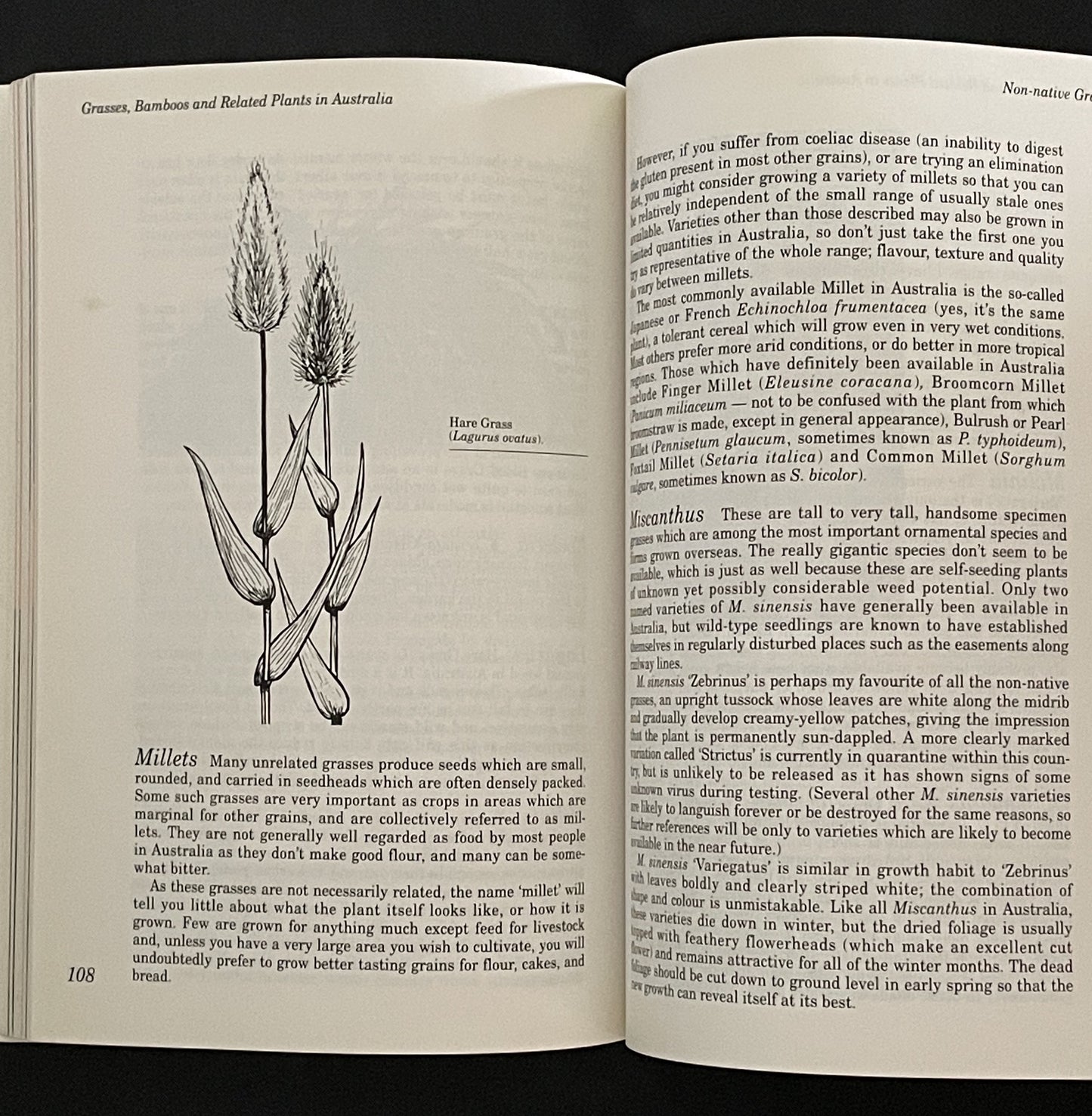 Grasses, Bamboos and Related Plants in Australia by Nick Romanowski