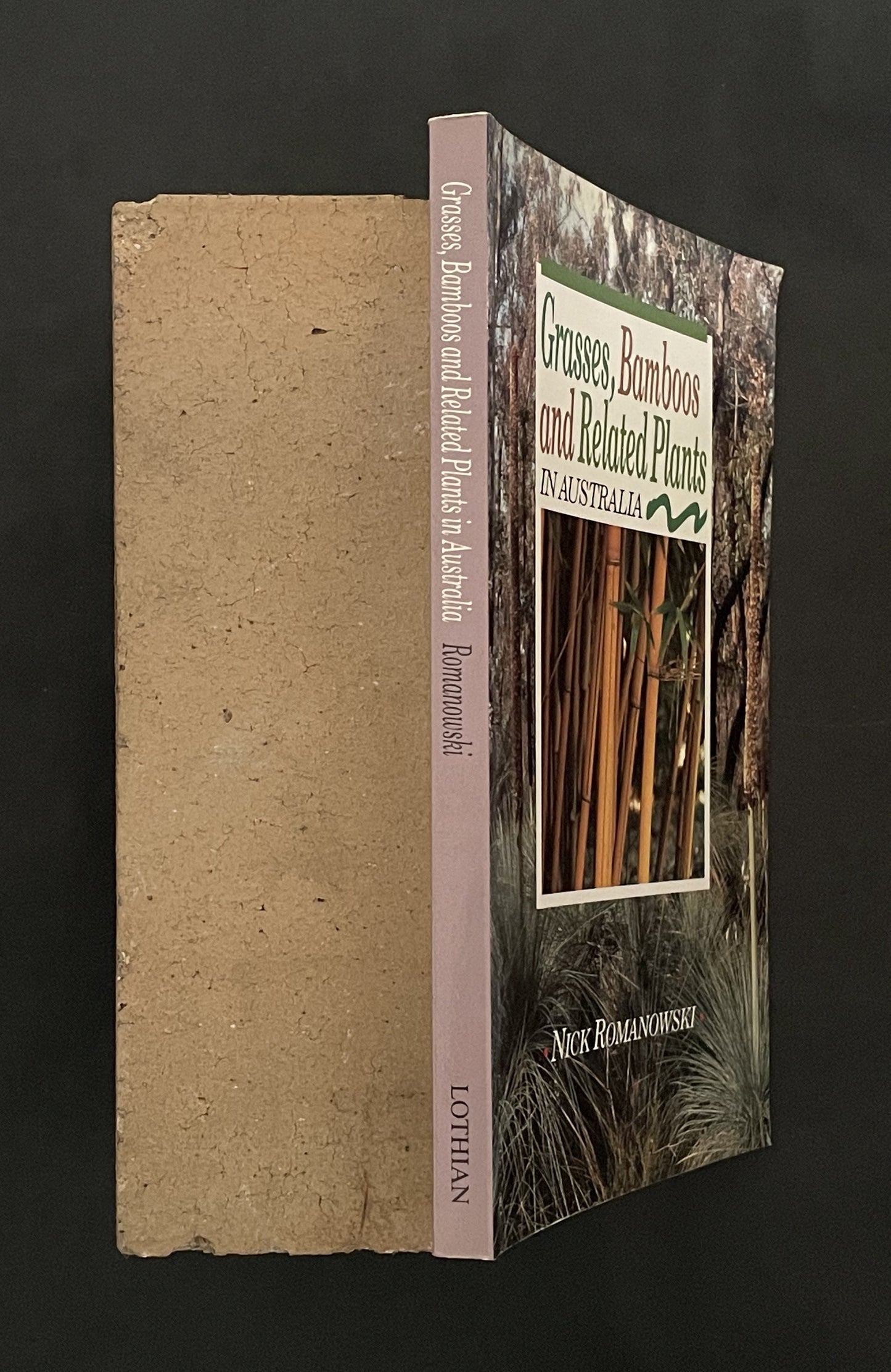 Grasses, Bamboos and Related Plants in Australia by Nick Romanowski