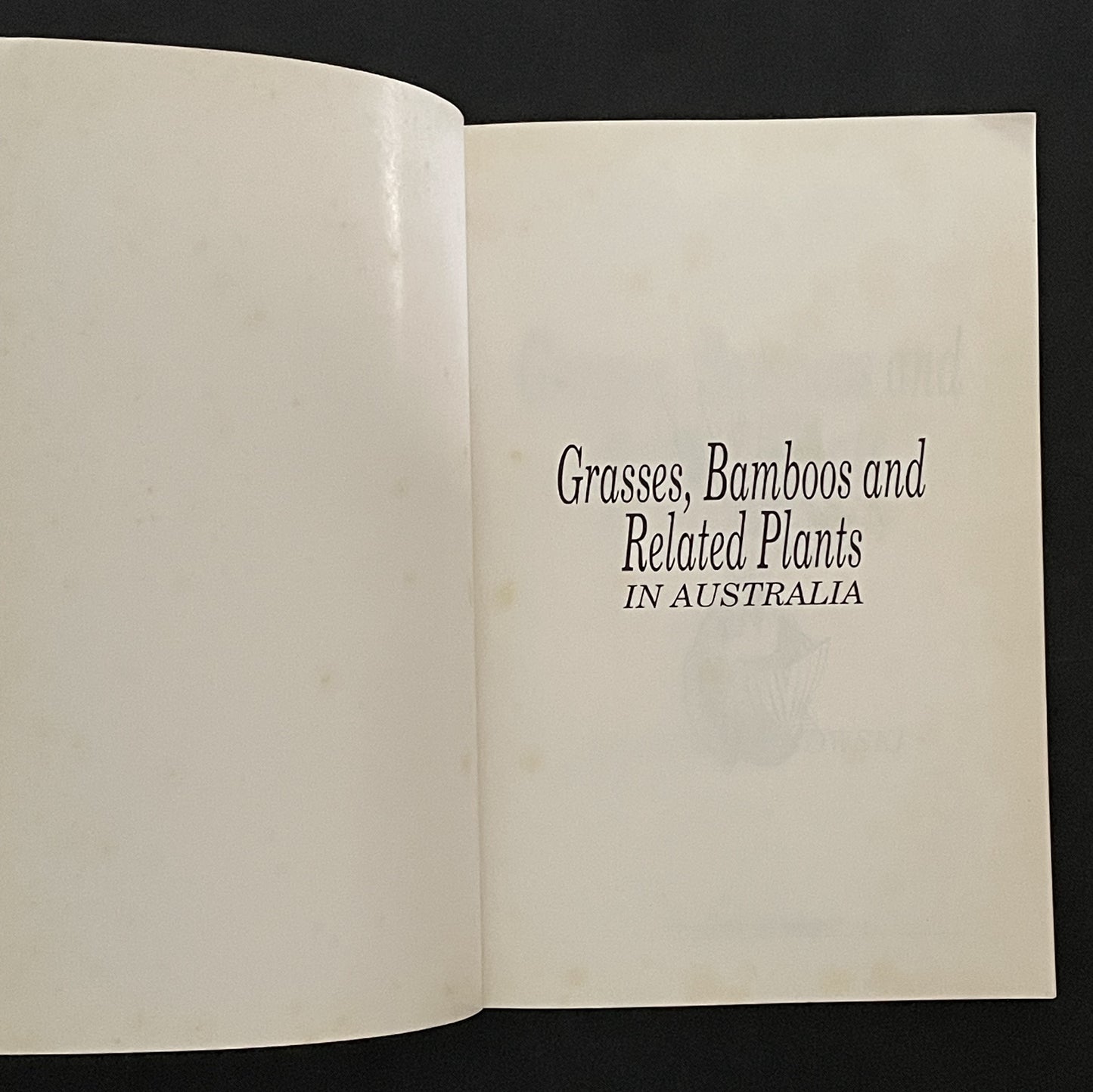 Grasses, Bamboos and Related Plants in Australia by Nick Romanowski