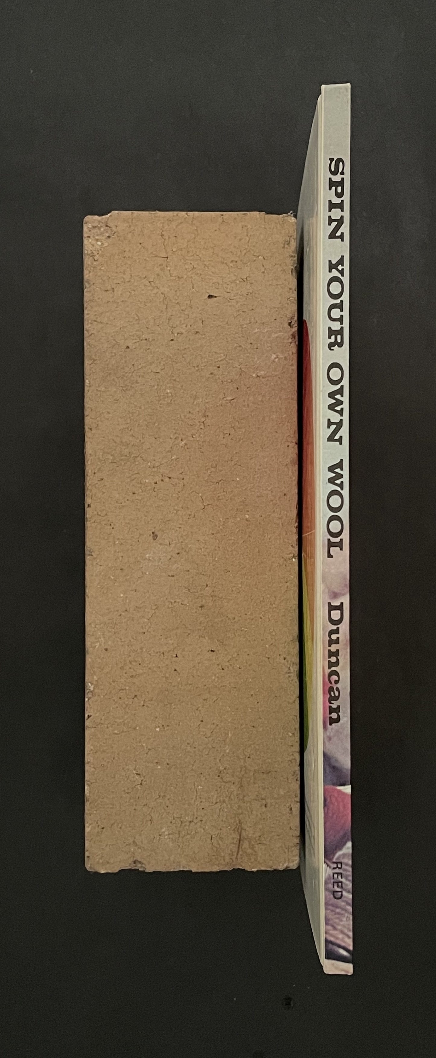 Spin Your Own Wool and Dye it and Weave it by Molly Duncan